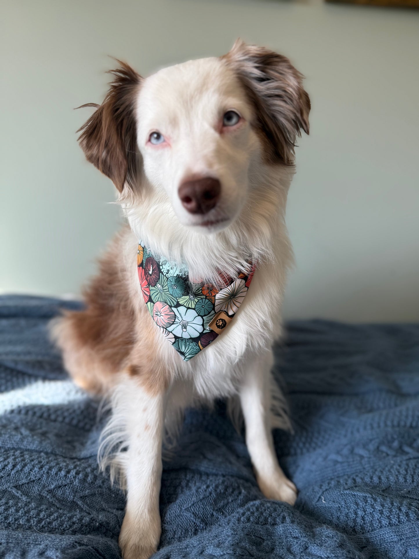 Amber Harvest Reversible Adventure Proof Bandana