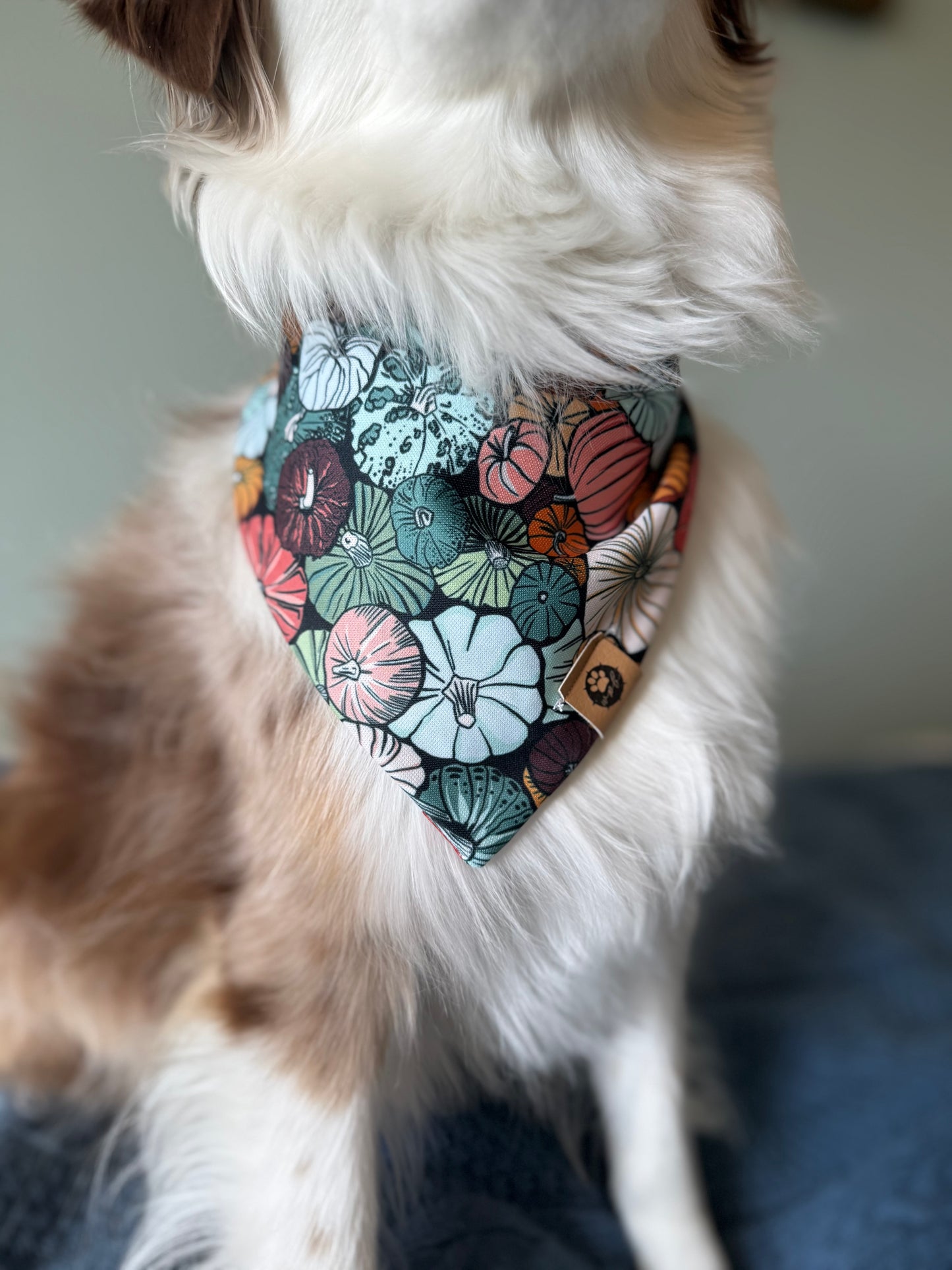 Amber Harvest Reversible Adventure Proof Bandana