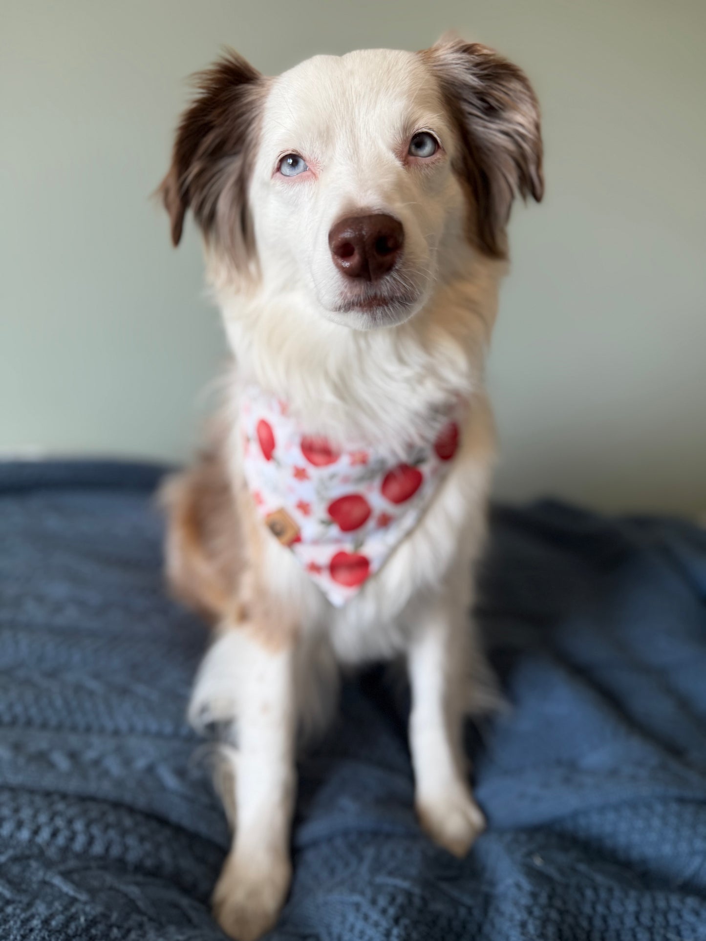 Apple Orchard Reversible Adventure Proof Bandana