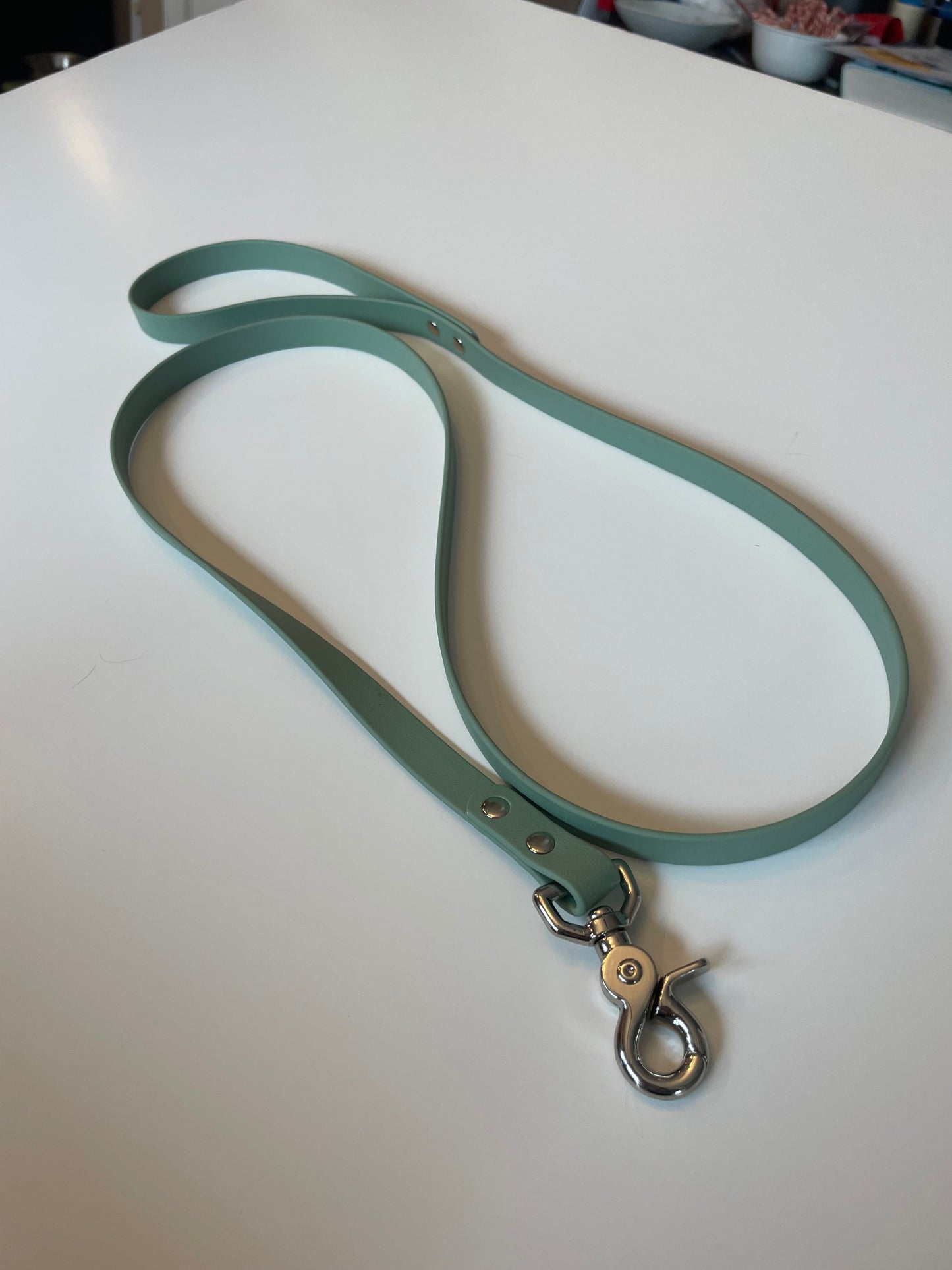 Sage Green Biothane Leash