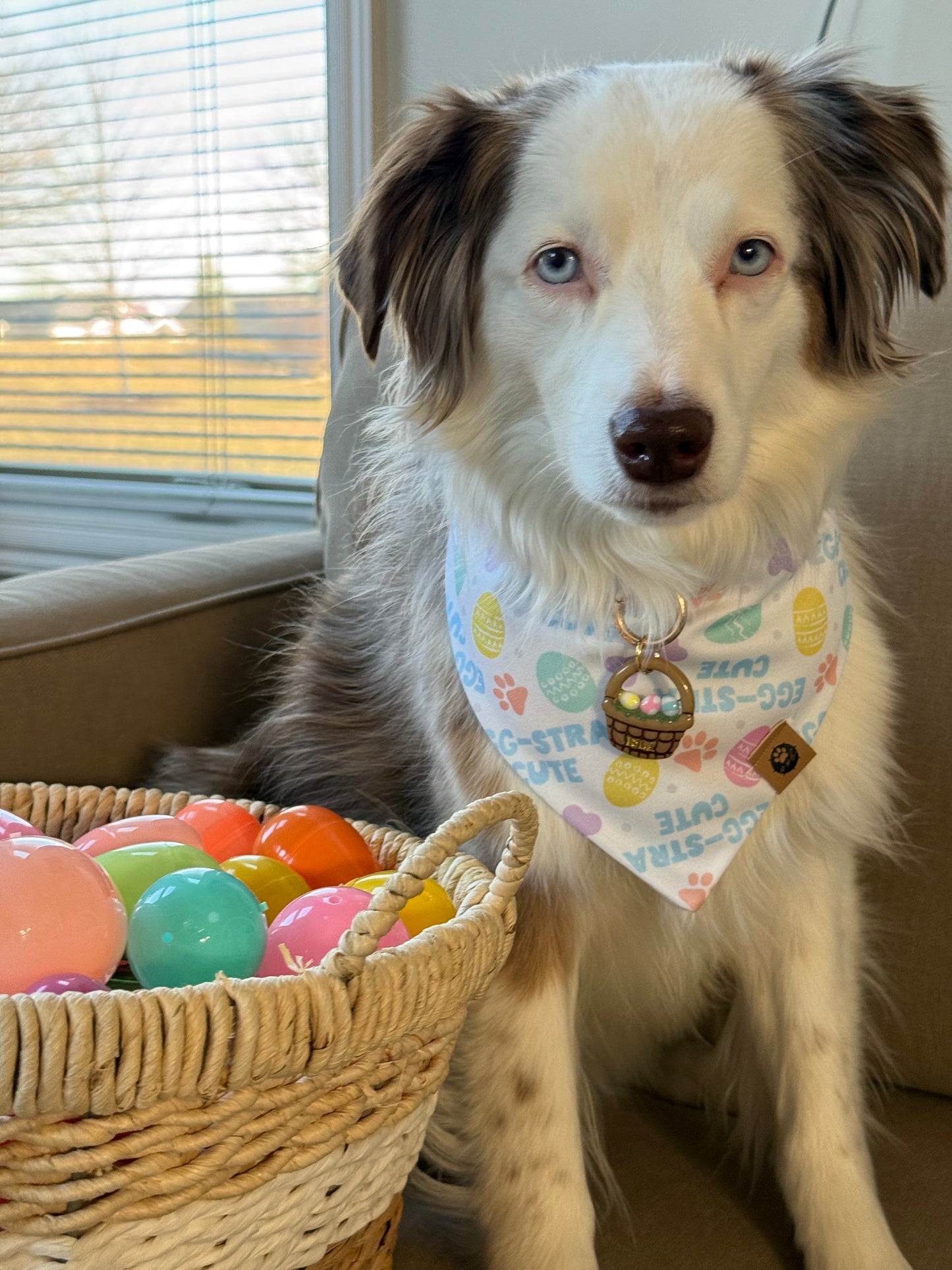 Peep Patrol Wander Proof Bandana