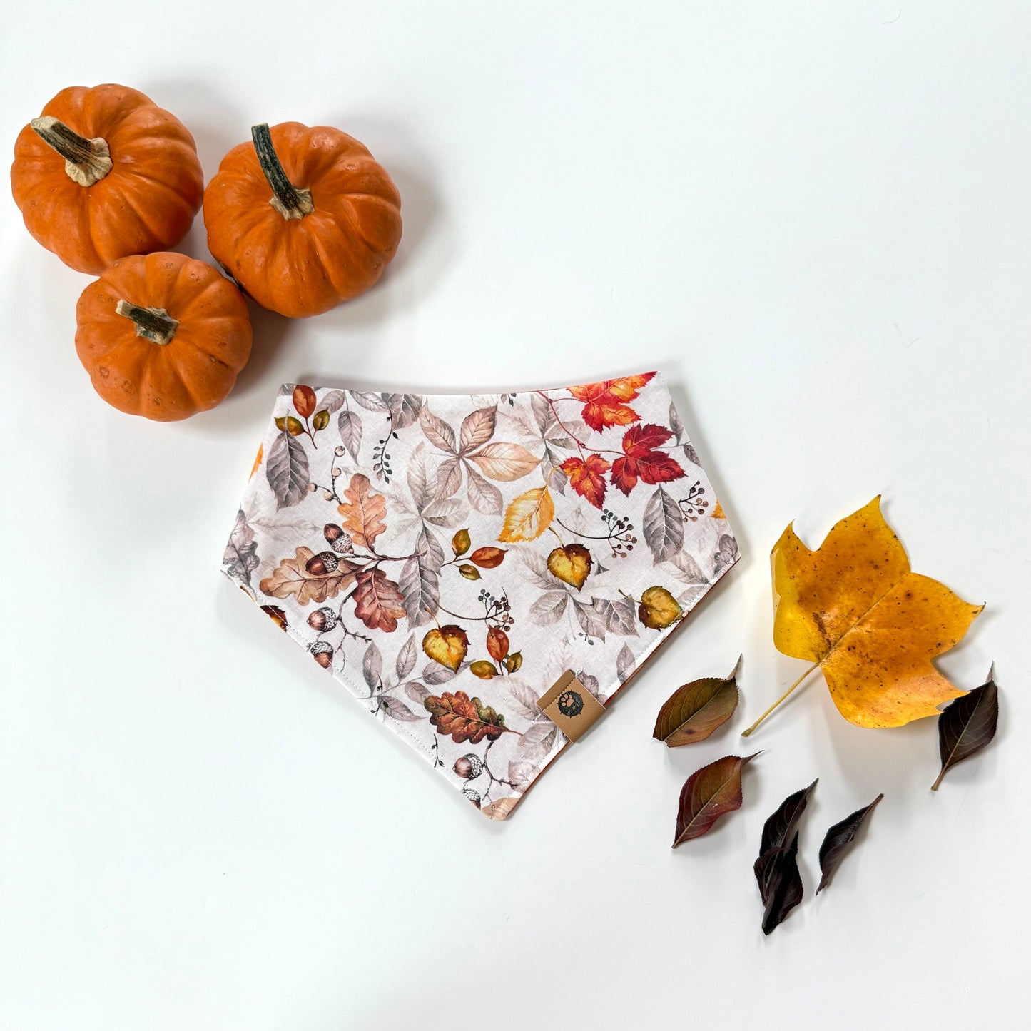 Ember Trail Reversible Bandana