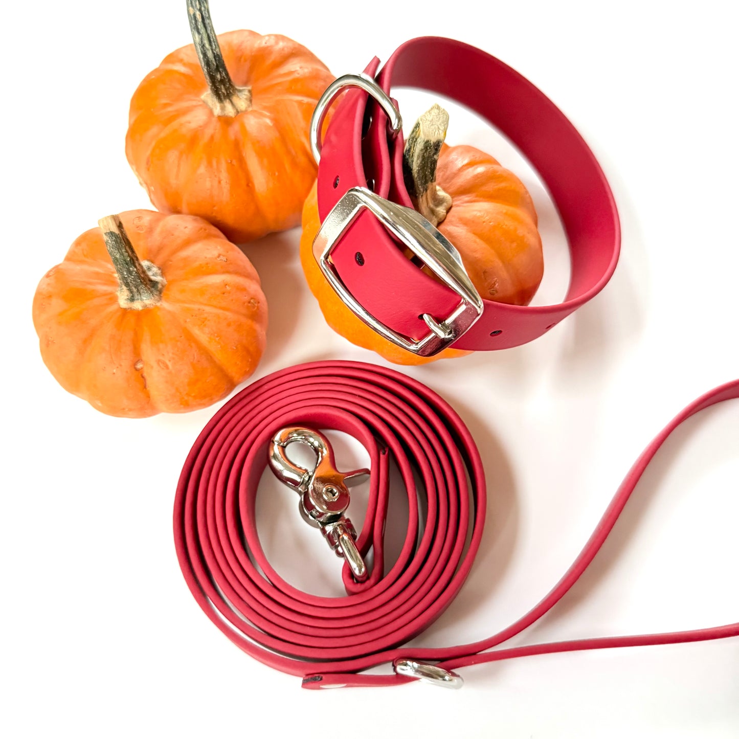 6 Foot Biothane Dog Leash