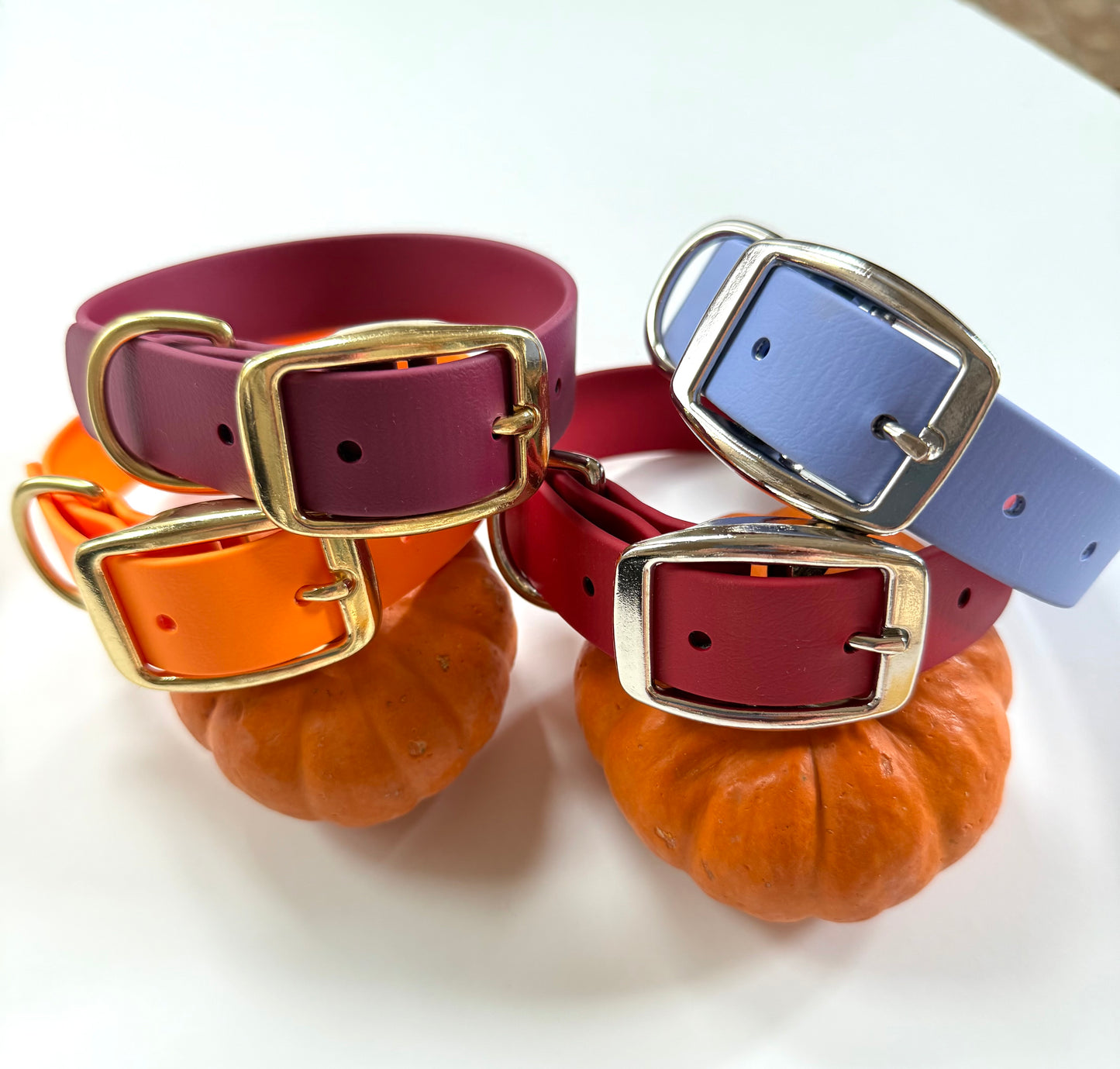 Fall Biothane Dog Collar