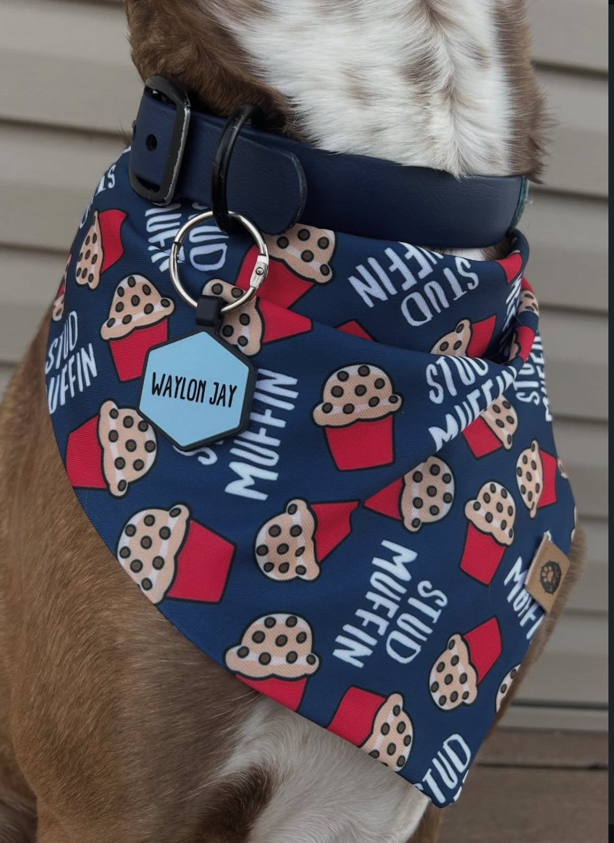 Stud Muffin Reversible Wander Proof Style Bandana