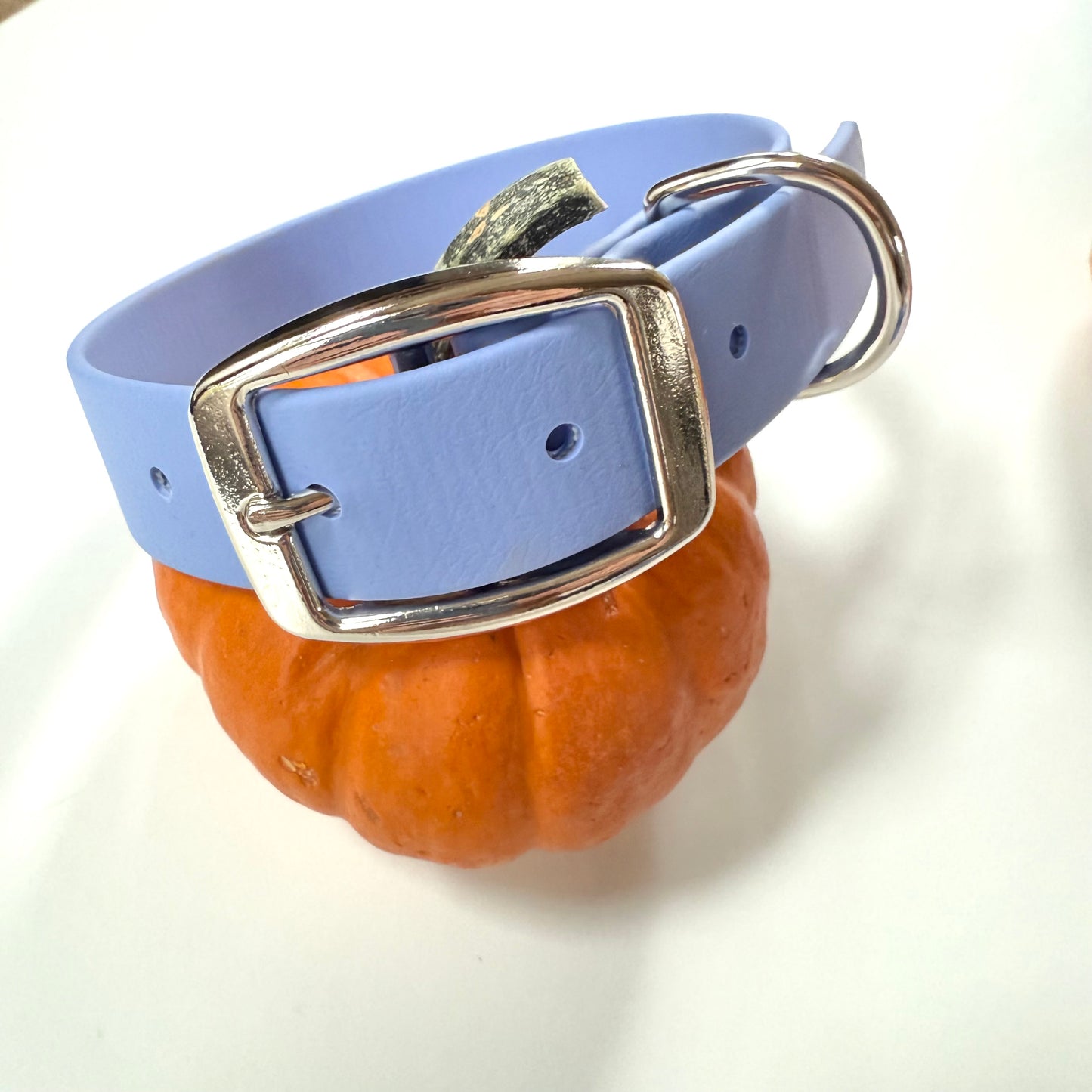 Fall Biothane Dog Collar