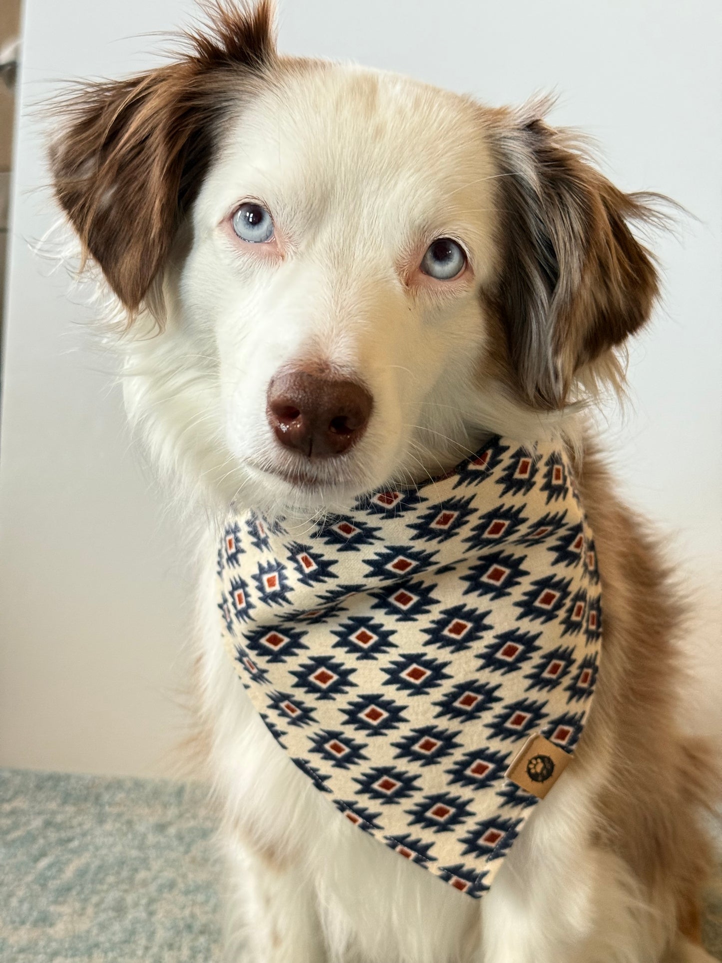 Aztec Flannel Reversible Bandana