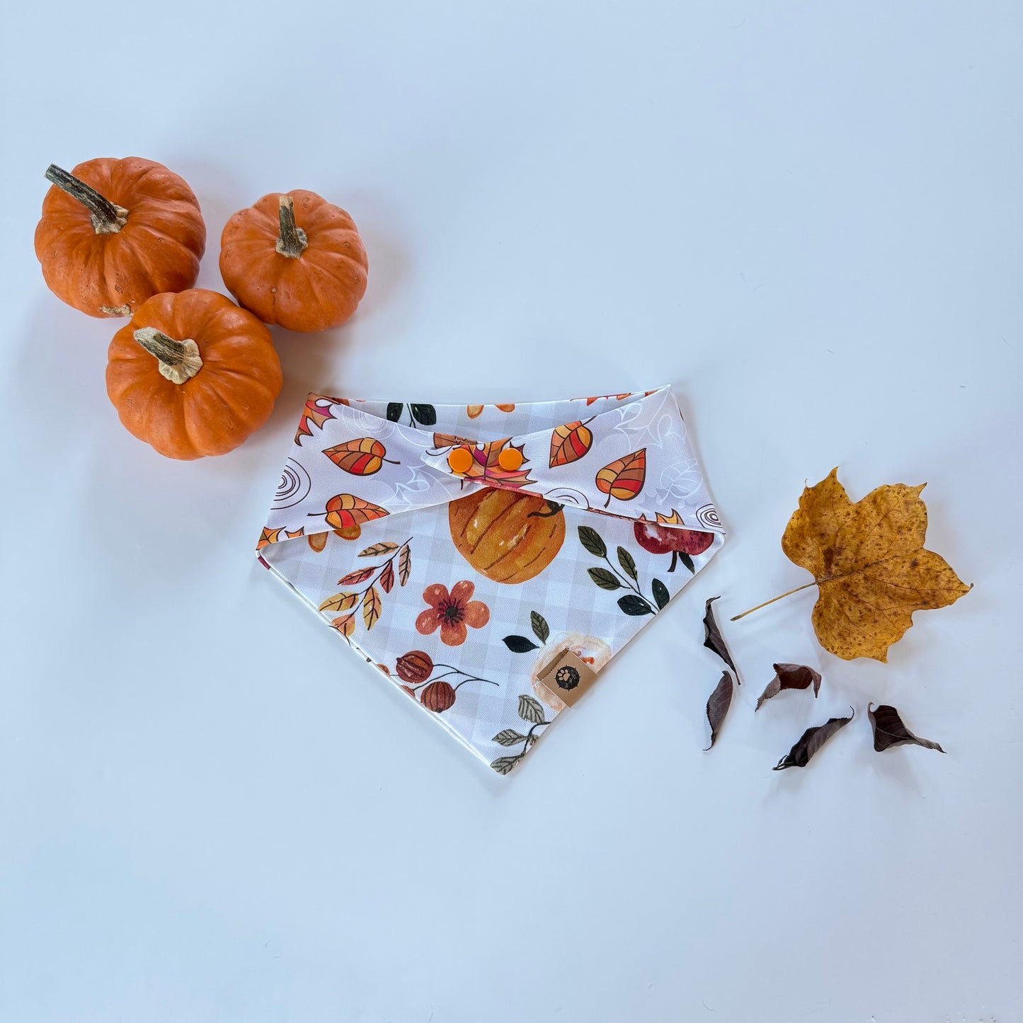 Autumn Air Reversible Adventure Proof Bandana