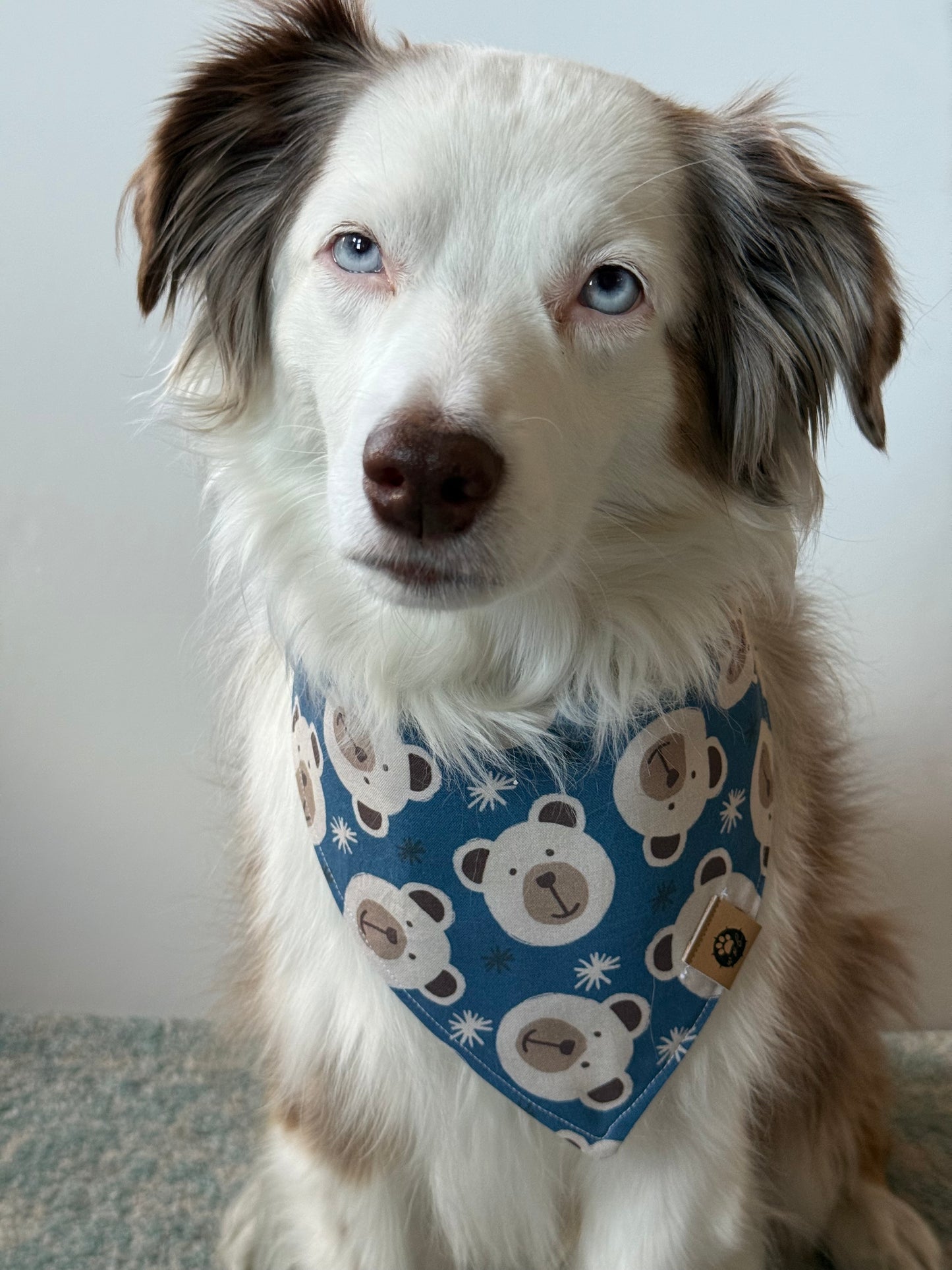 Beary Cozy Reversible Bandana