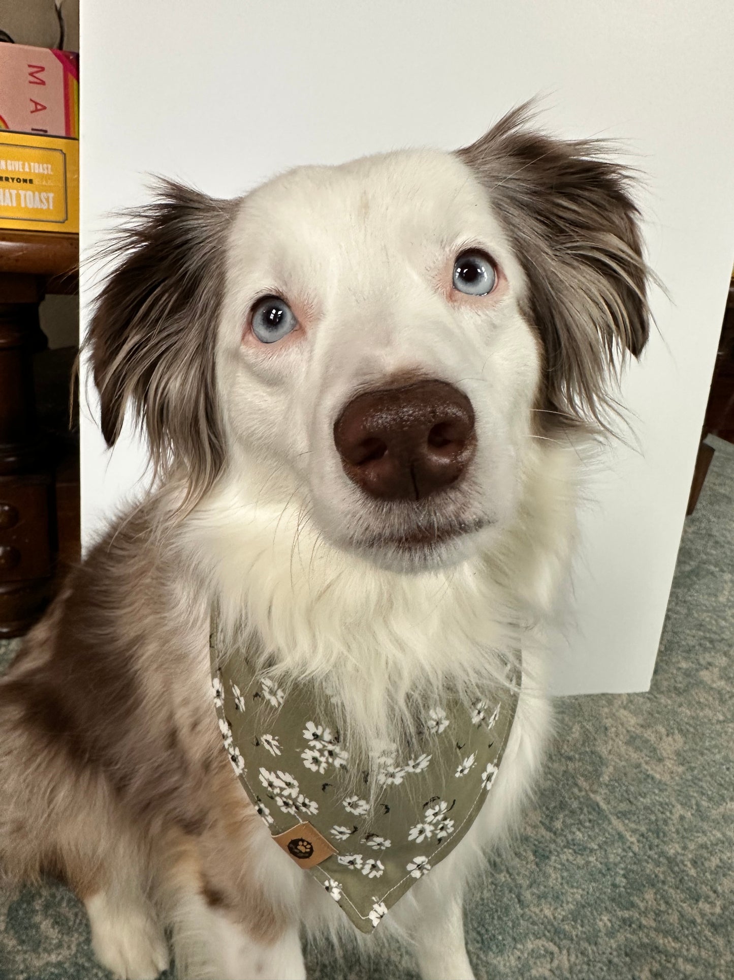 Campsite Reversible Bandana