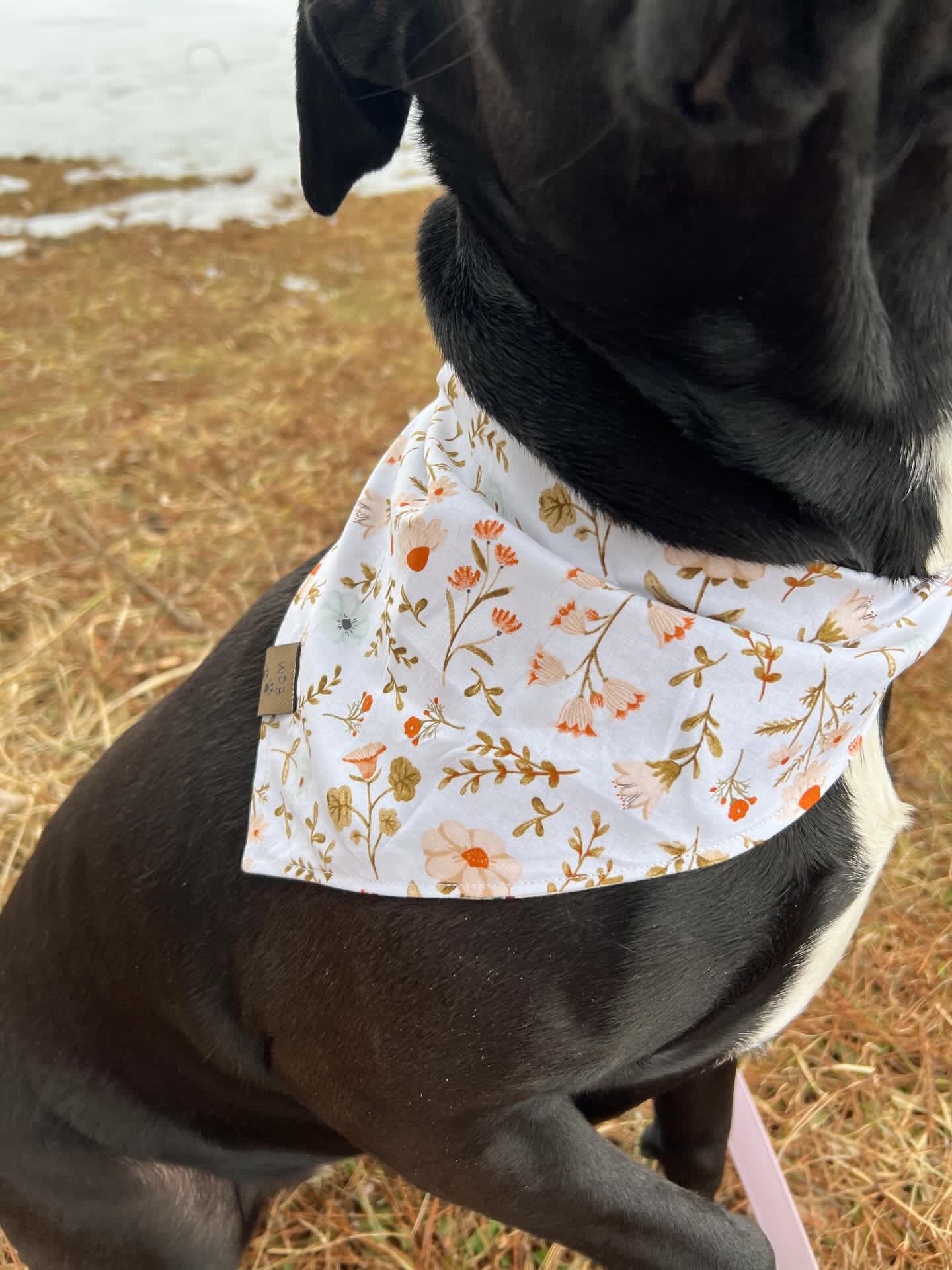 Aurora’s Walk in Nature Reversible Bandana