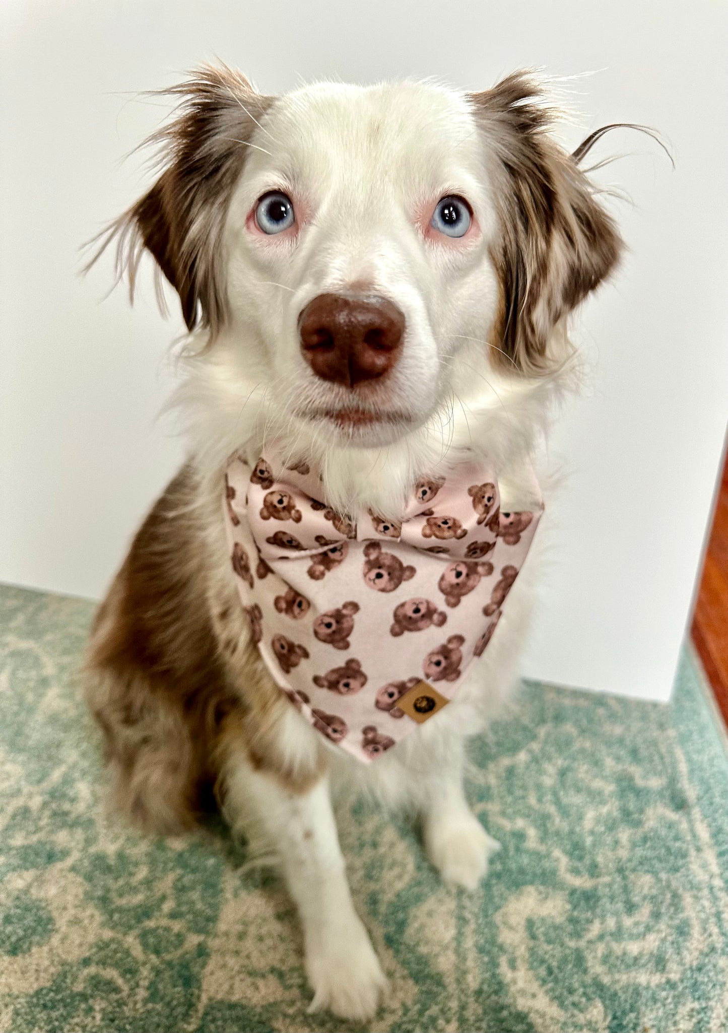 Beary Lovely Bow Tie