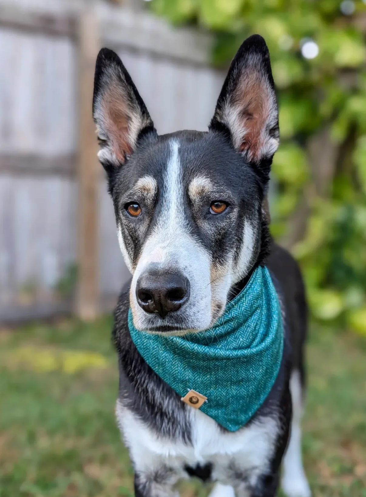 Tartan and Tweed Reversible Wander Proof Style Bandana