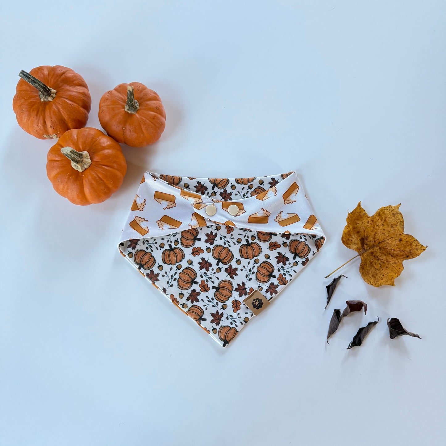 Pumpkin Pie Reversible Adventure Proof Bandana