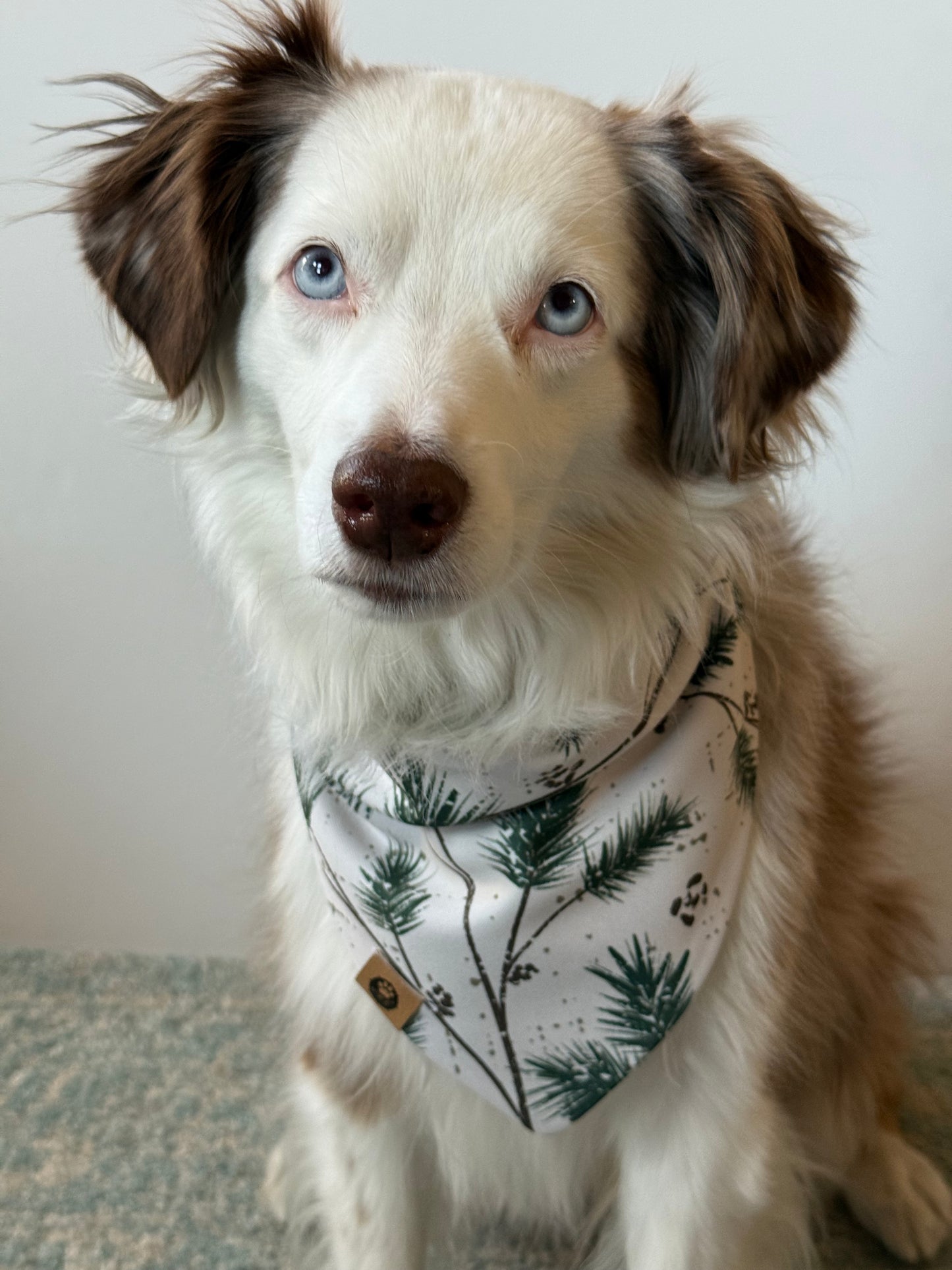 Pine Forest Reversible Adventure Proof Bandana