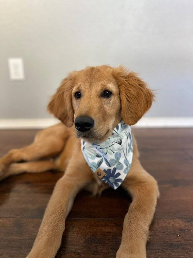 Jurassic Bloom Bandana