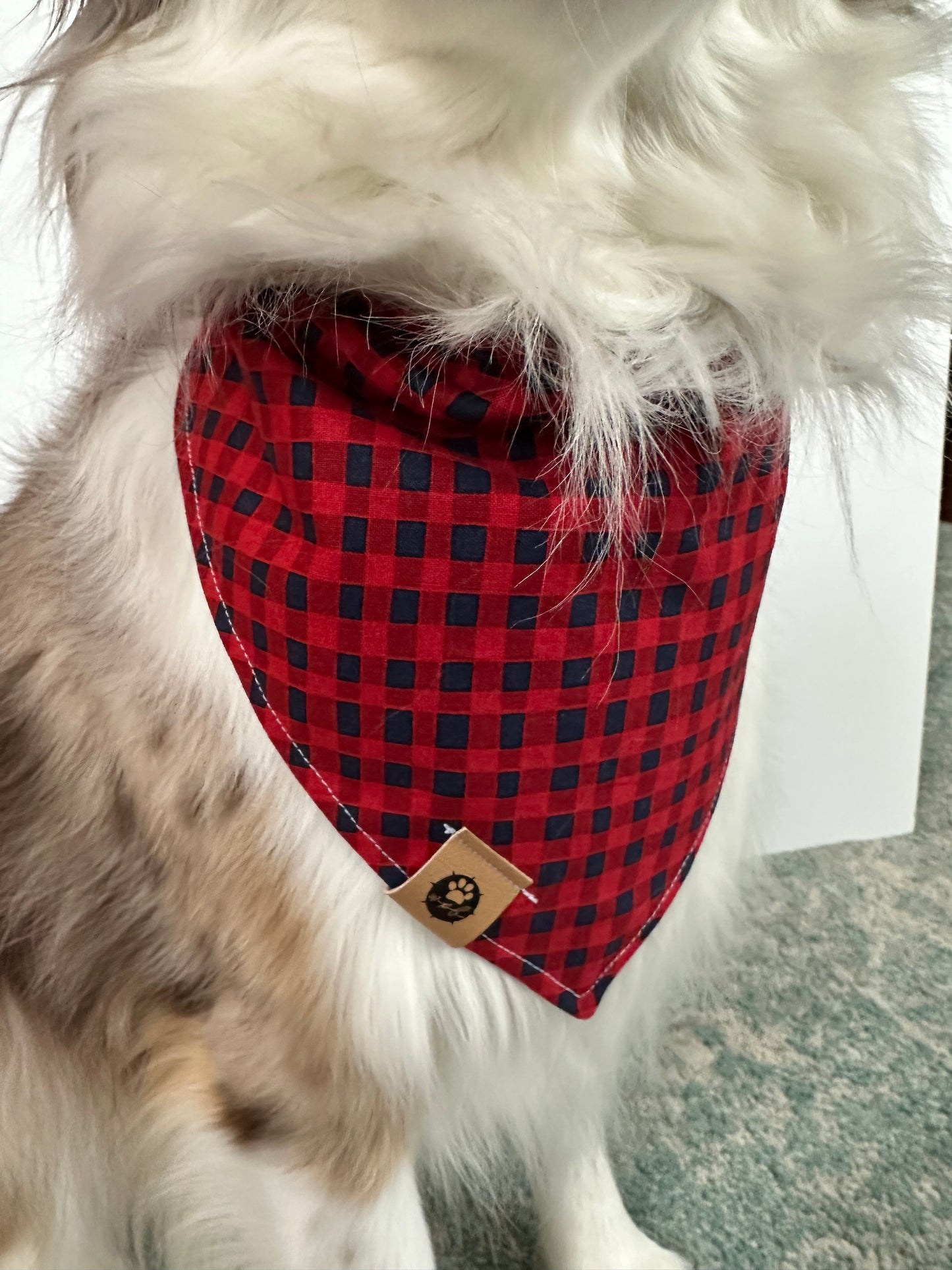 S’mores Reversible Bandana
