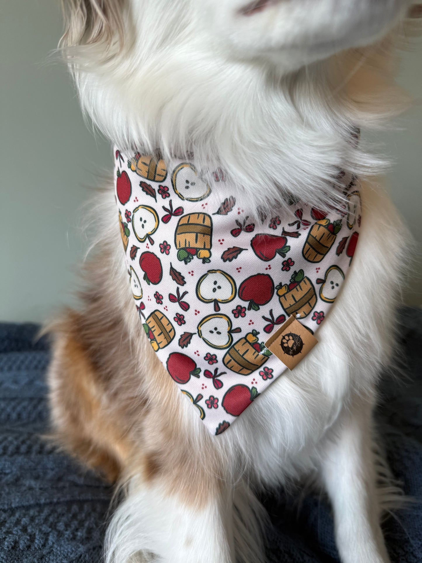 Apple Orchard Reversible Adventure Proof Bandana