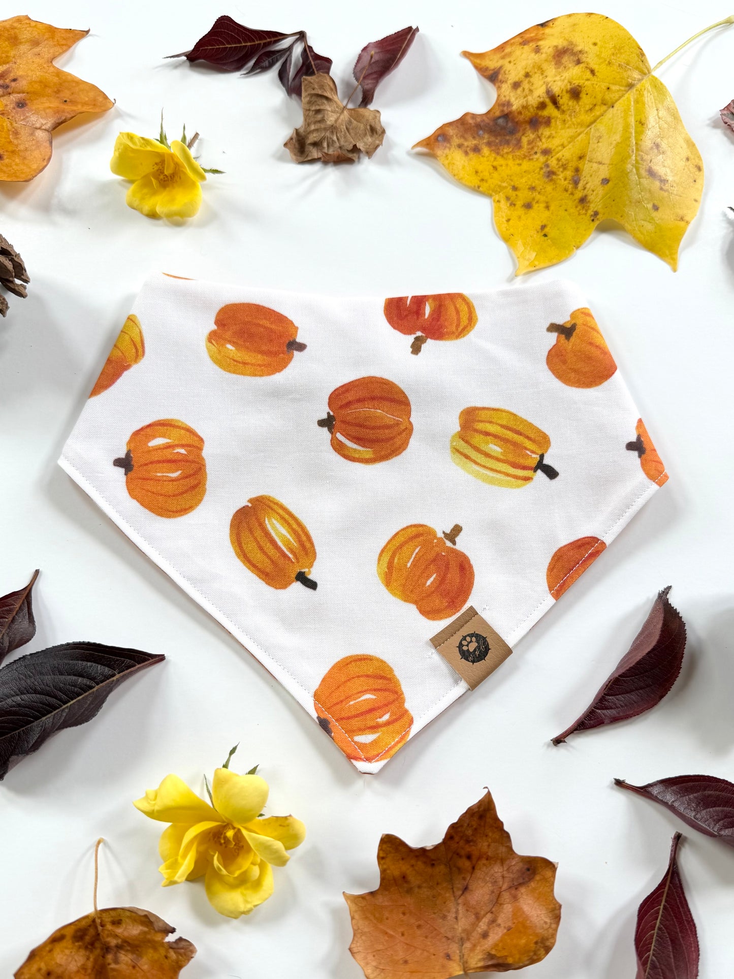 Cutest Pumpkin Reversible Custom Bandana