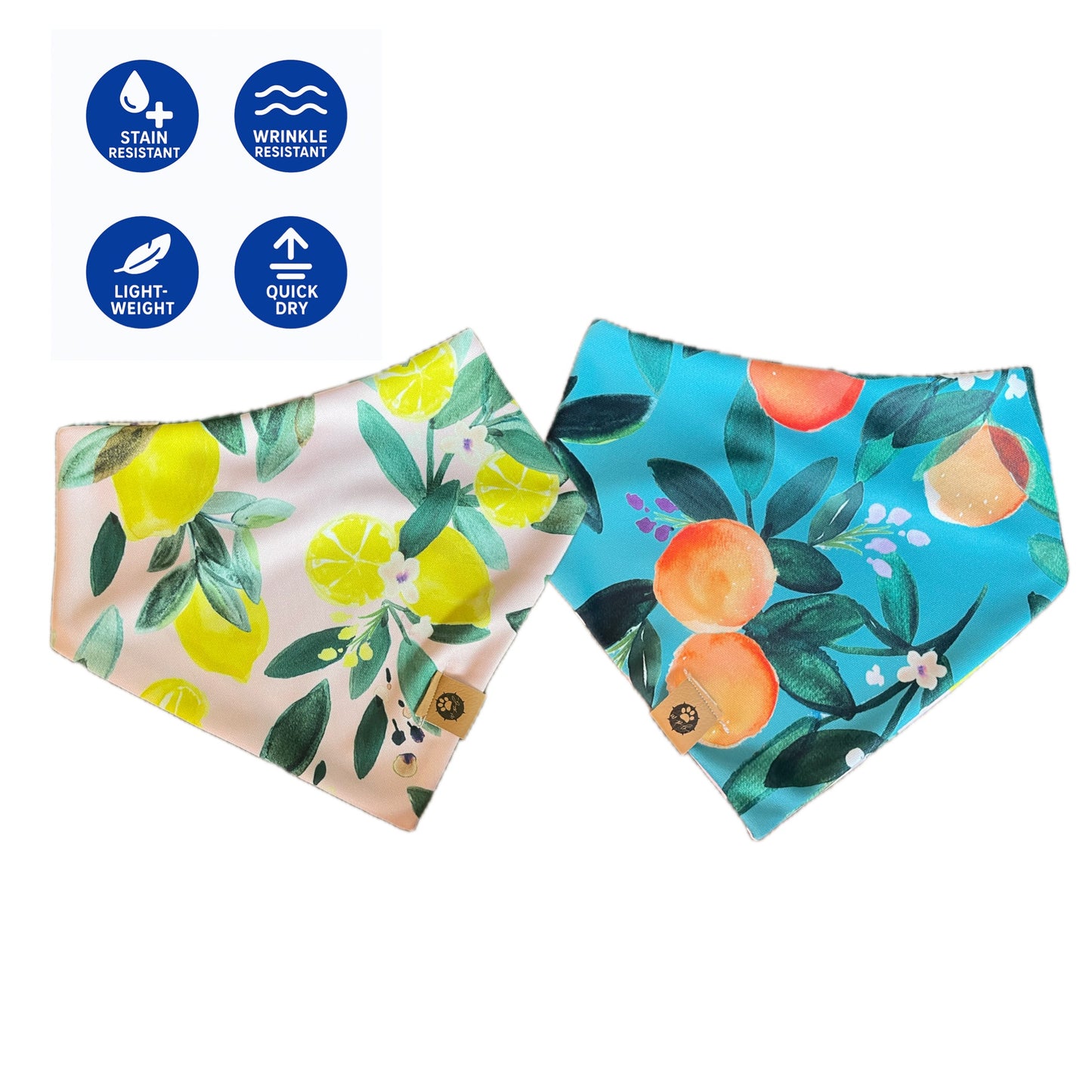 Main Squeeze Reversible Adventure Bandana