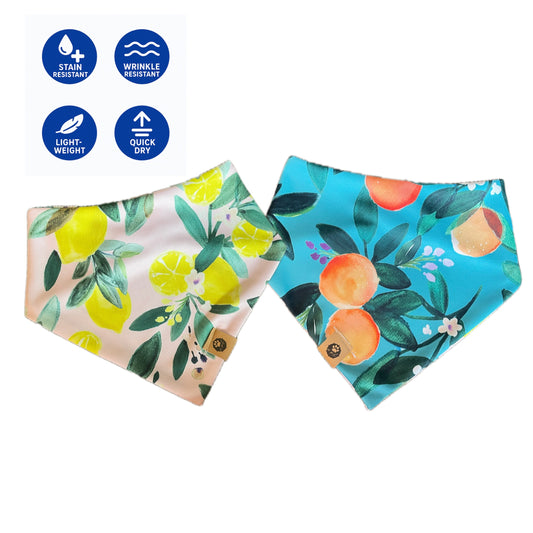 Main Squeeze Reversible Adventure Bandana