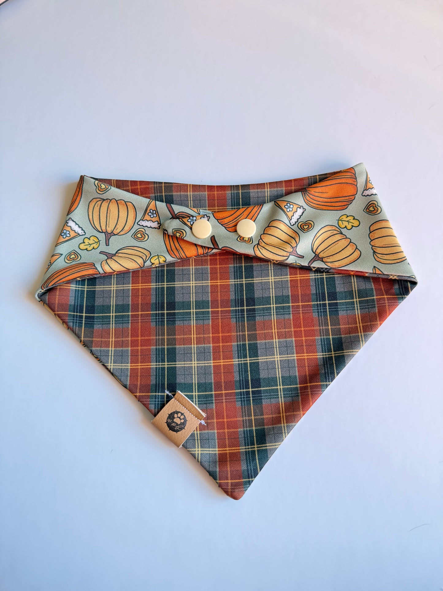 Thanksgiving Day Reversible Adventure Proof Bandana