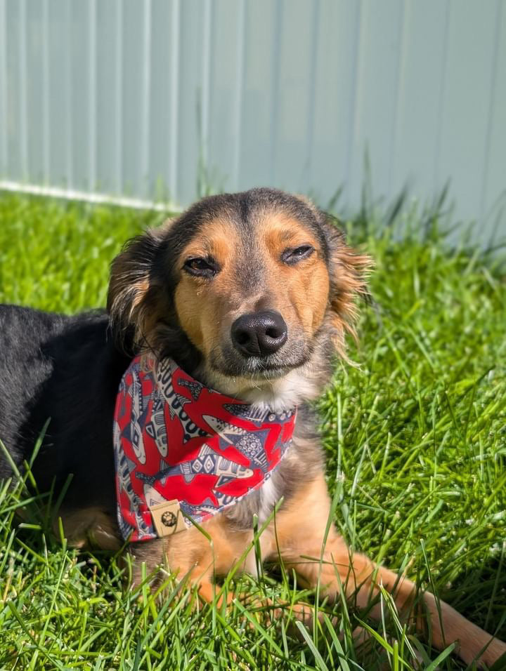 Surf & Snap Reversible Bandana