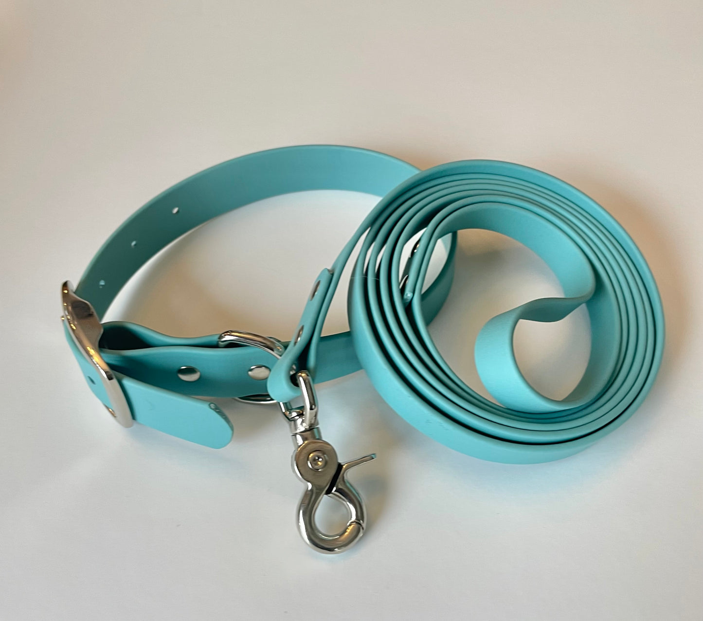 Teal Biothane Dog Leash