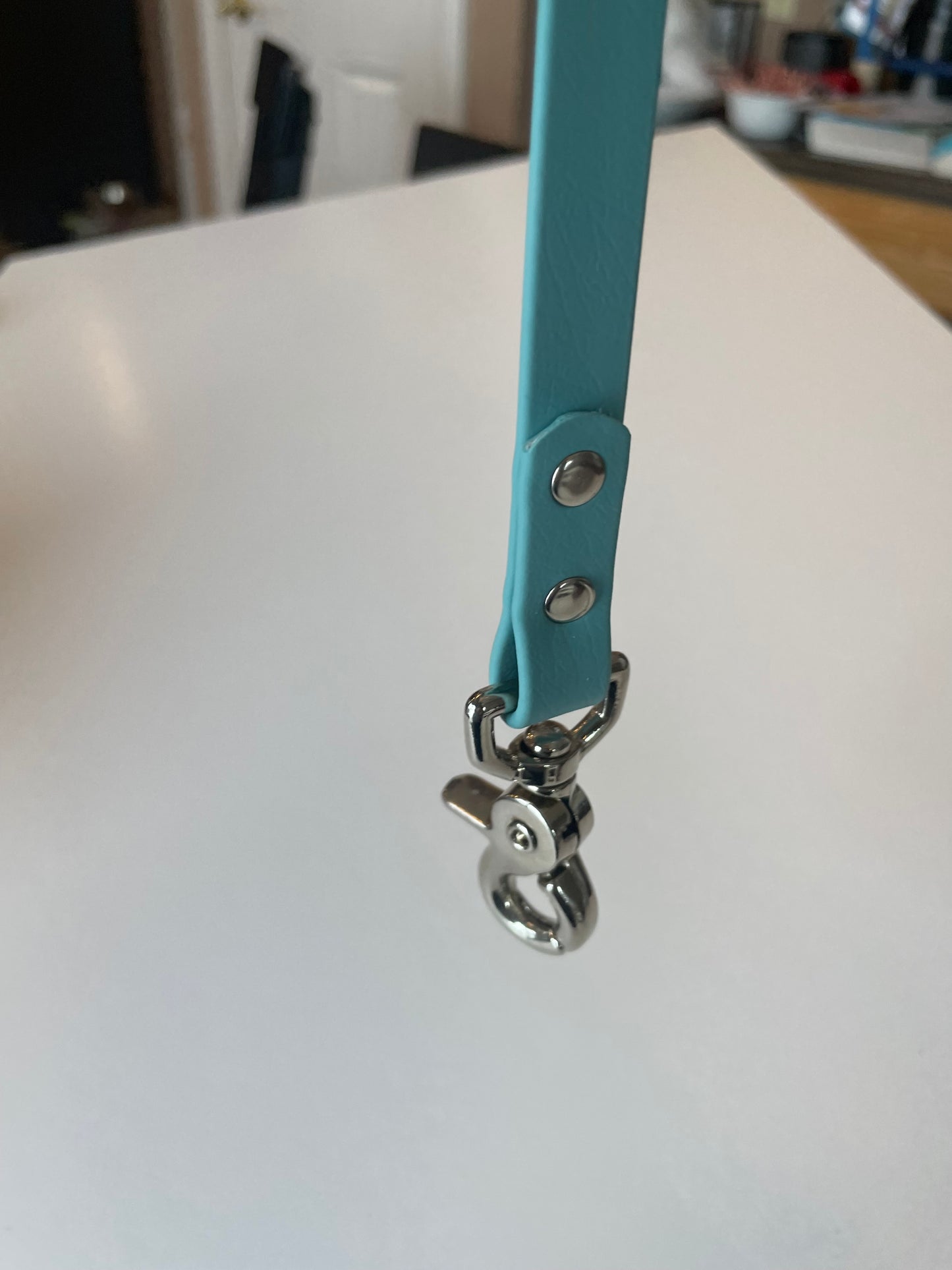 Teal Biothane Dog Leash