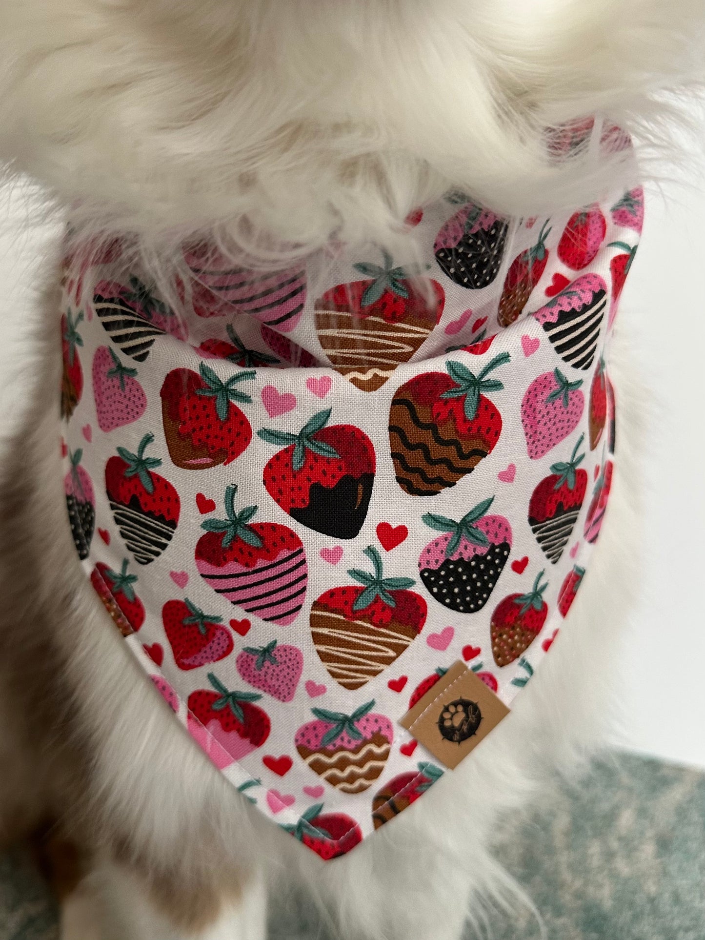 Puppy Love Bandana