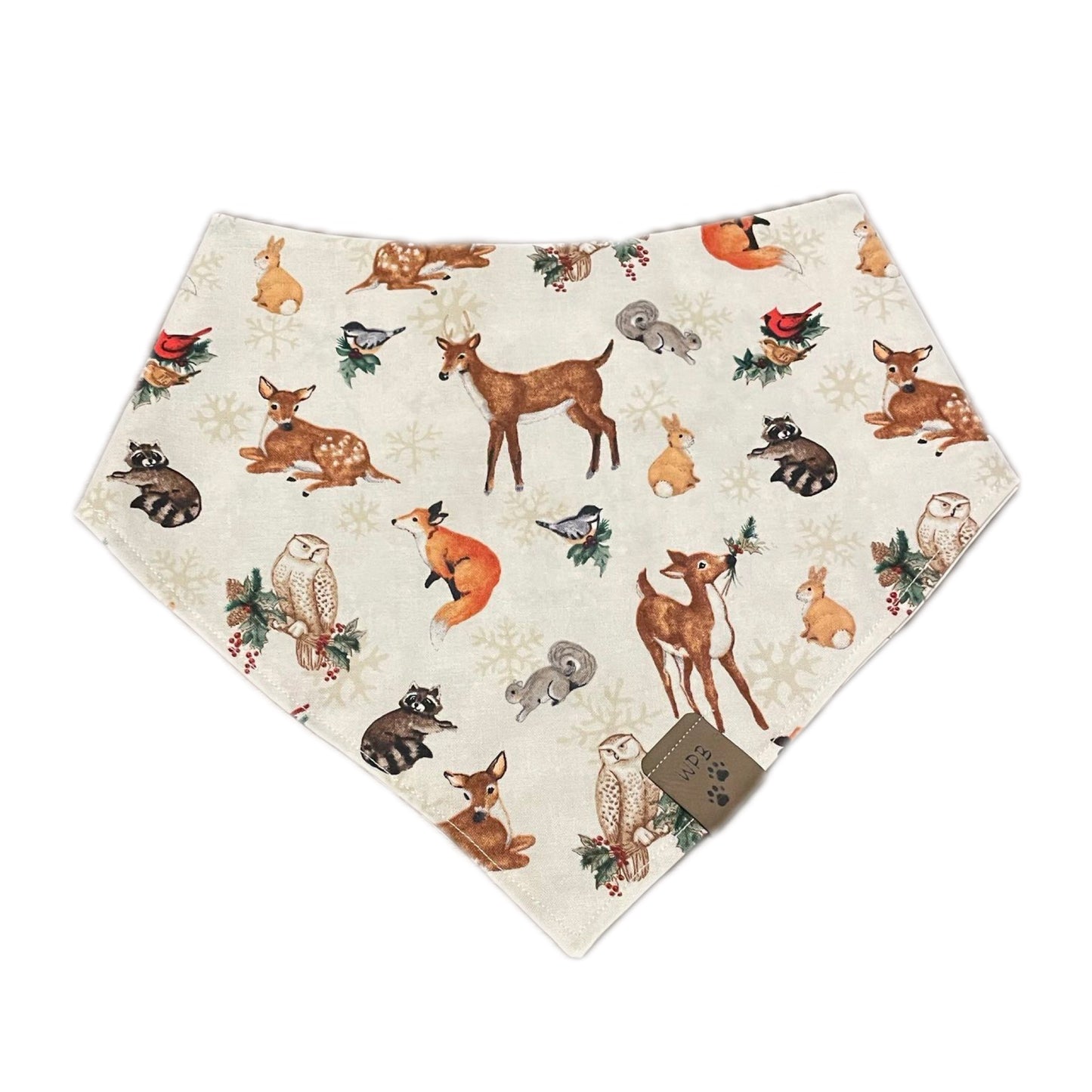 Aurora’s Walk in Nature Reversible Bandana