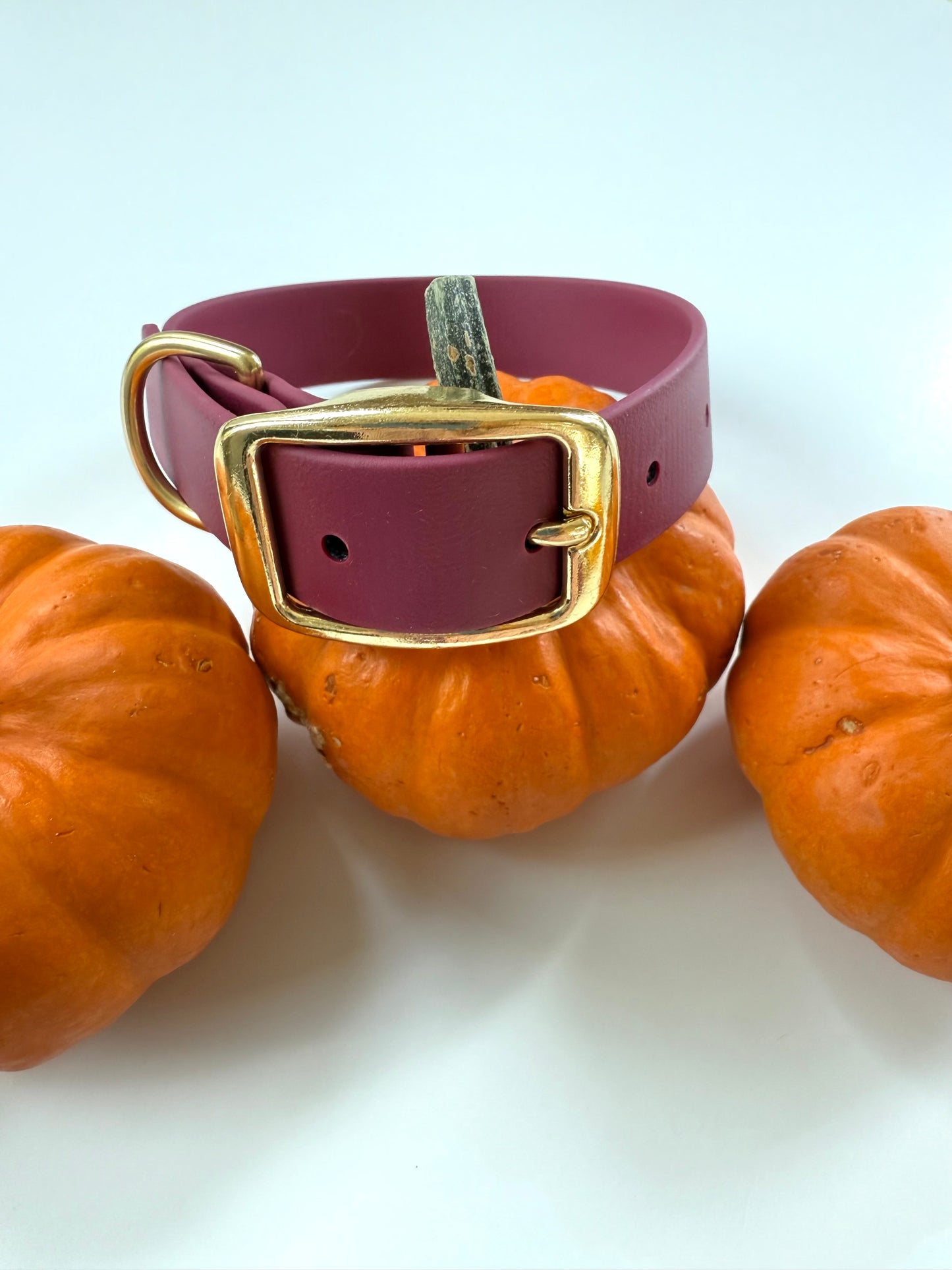 Fall Biothane Dog Collar