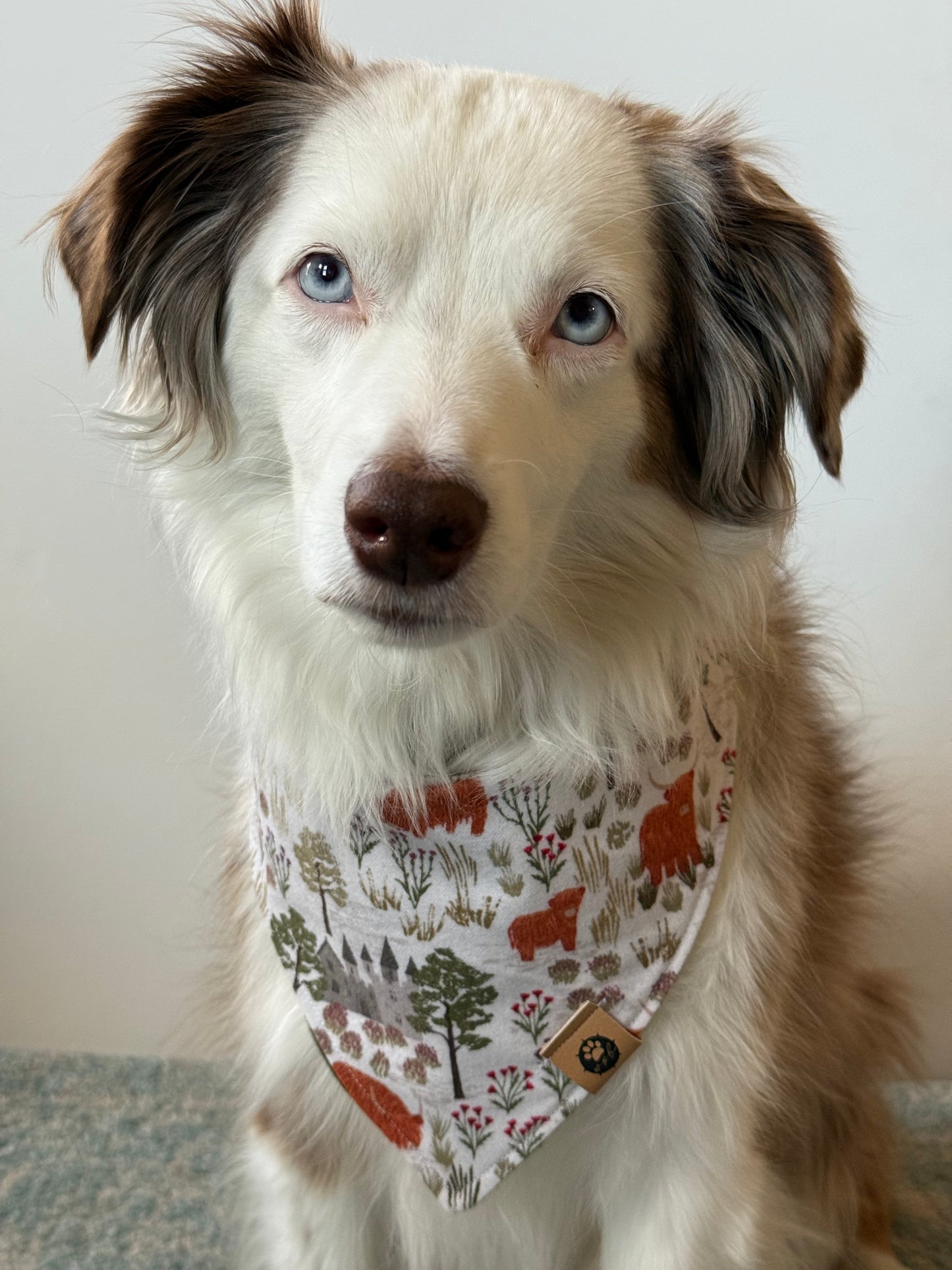 Highlands Flannel Reversible Bandana