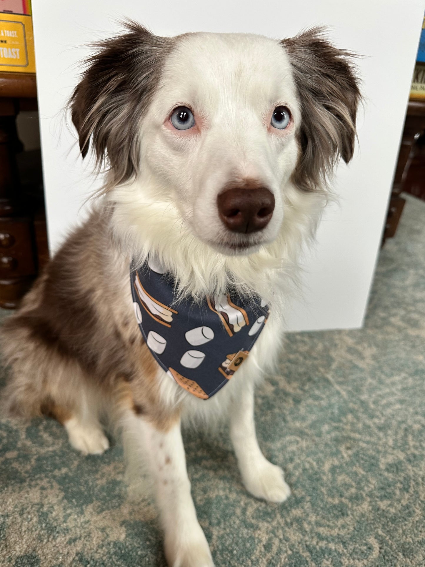 S’mores Reversible Bandana