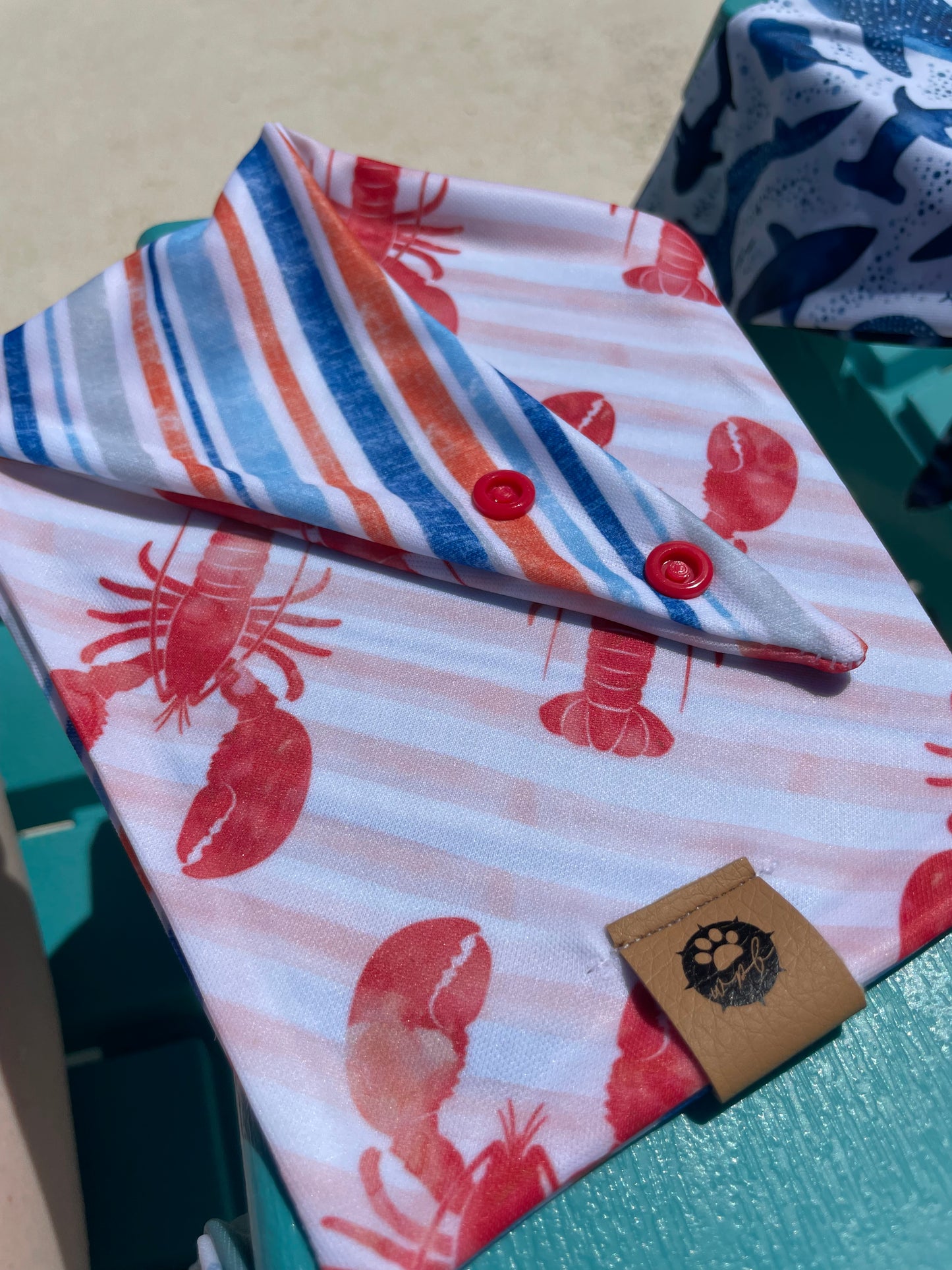 Lobster Stripes Reversible Adventure Bandana