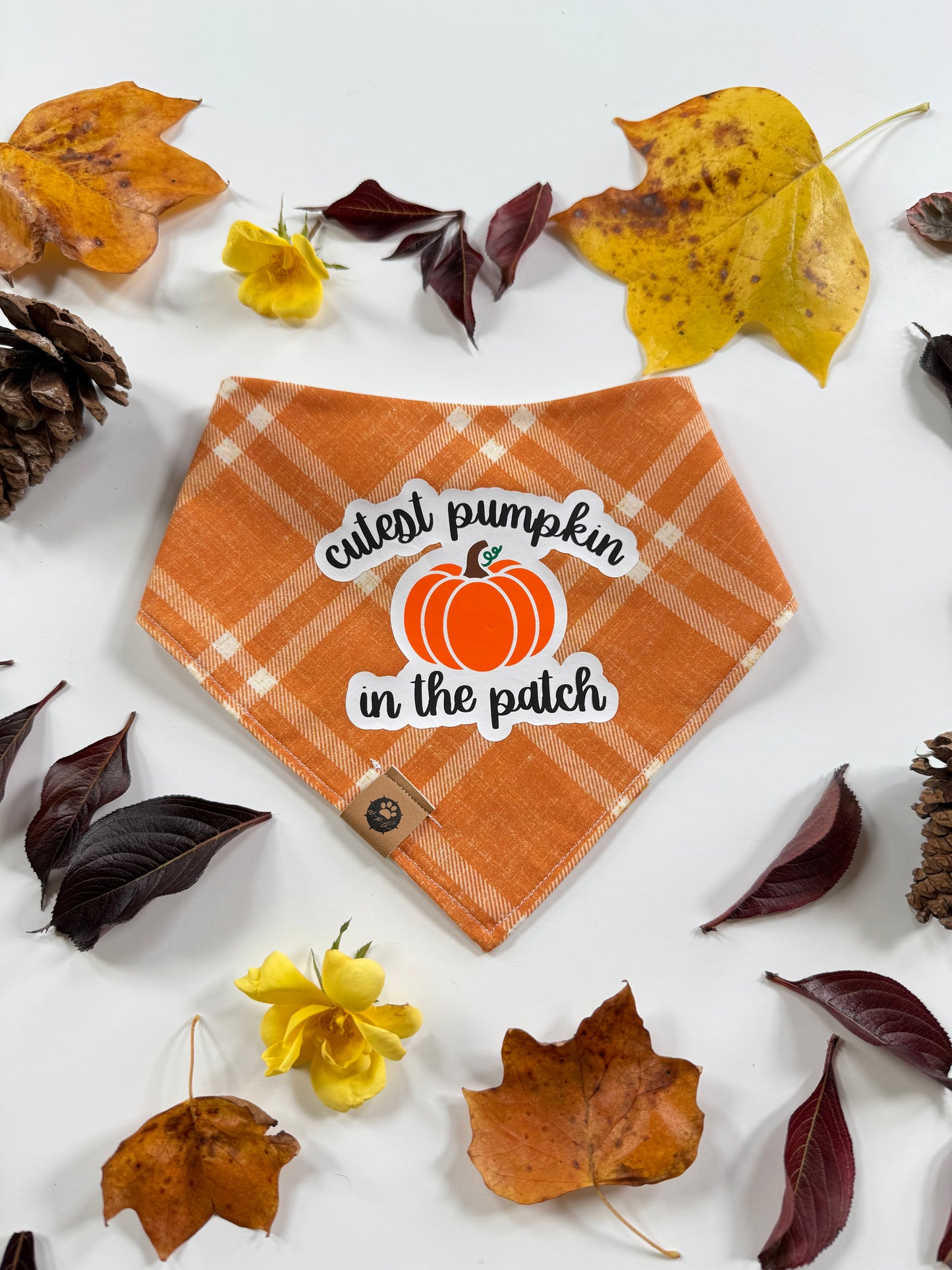 Cutest Pumpkin Reversible Custom Bandana