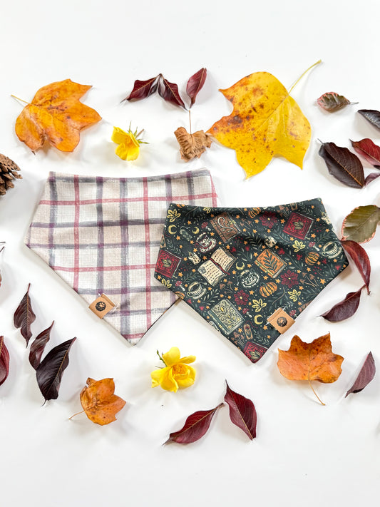 Bookish Autumn Reversible Adventure Proof Bandana