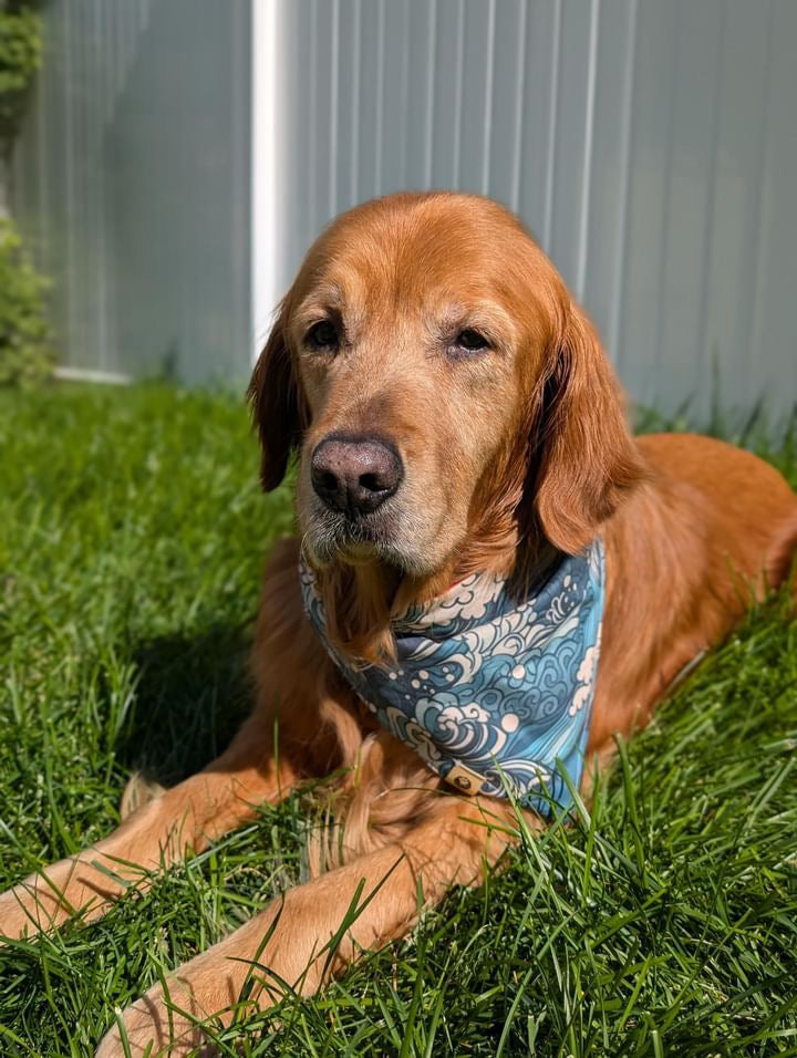 Surf & Snap Reversible Bandana