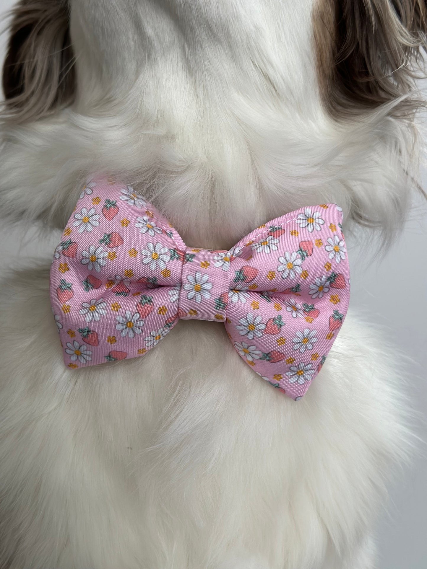 Strawberry Sunshine Bow Tie