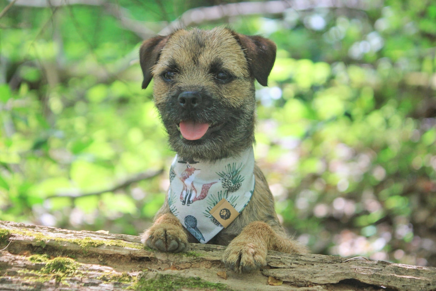 Bordering On Perfect Reversible Bandana
