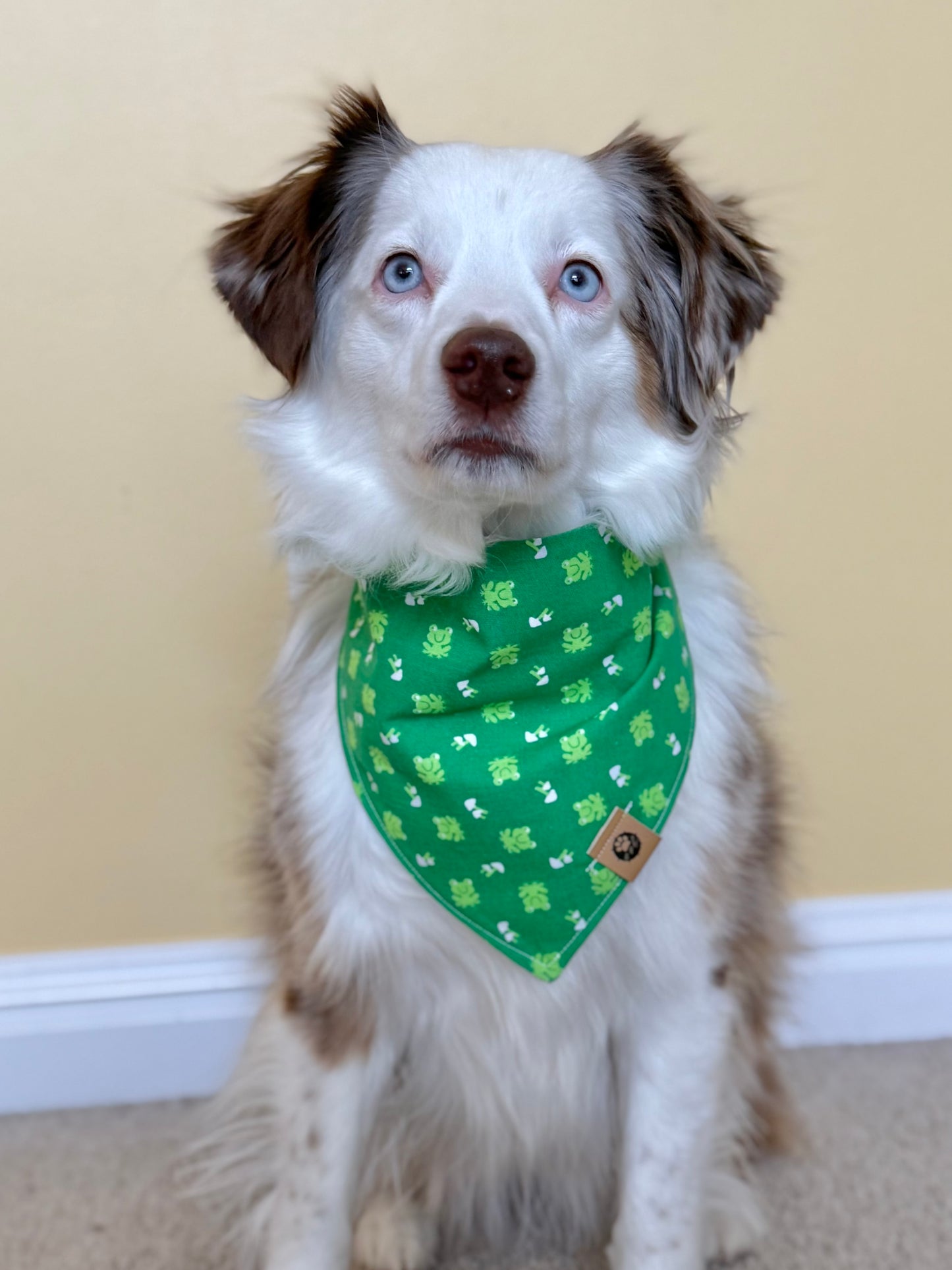 Lil Frogs Reversible Bandana