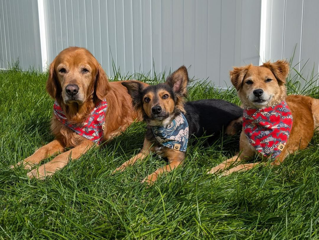 Surf & Snap Reversible Bandana