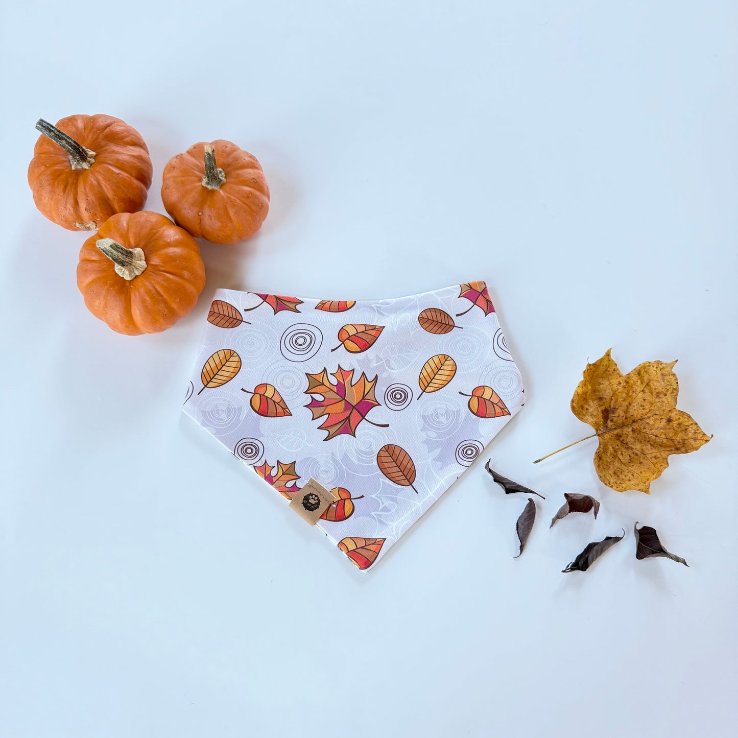 Autumn Air Reversible Adventure Proof Bandana
