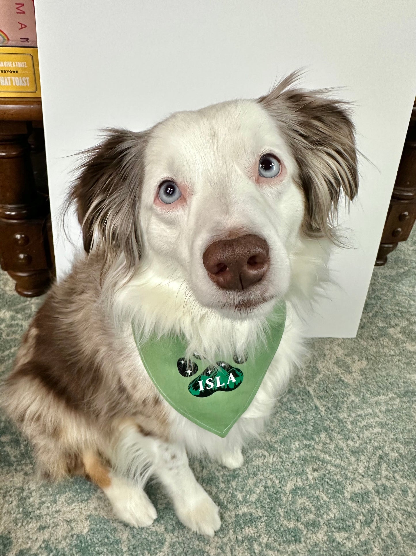 Custom WPB Adventure Bandana