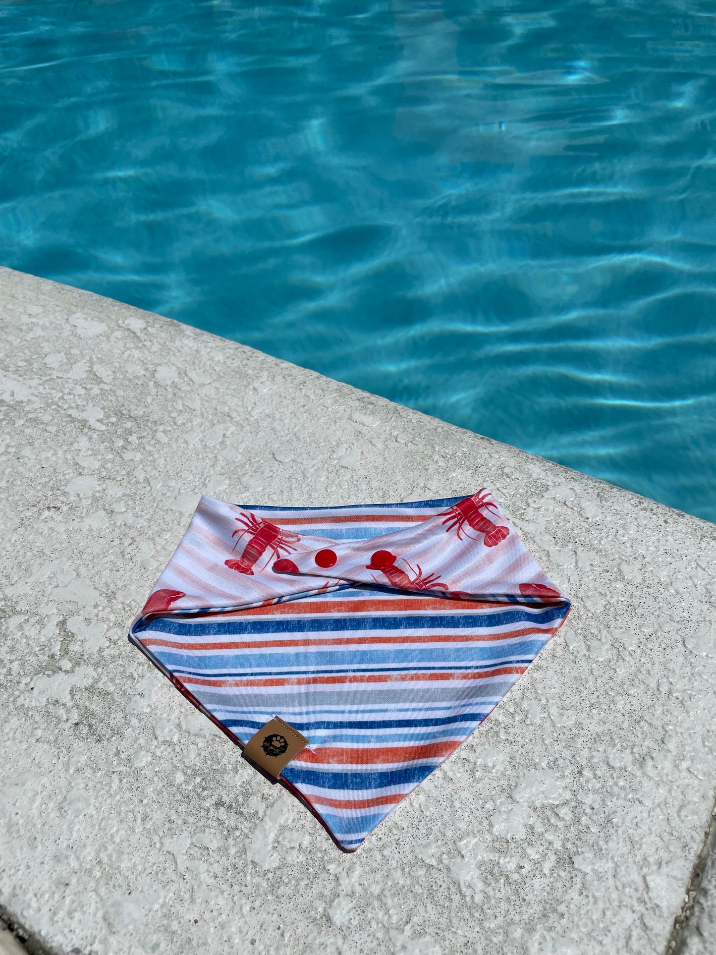 Lobster Stripes Reversible Adventure Bandana