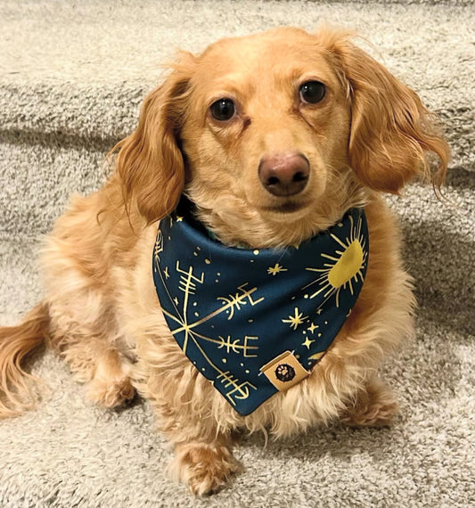 Rune’s and Radiance Reversible Adventure Proof Bandana