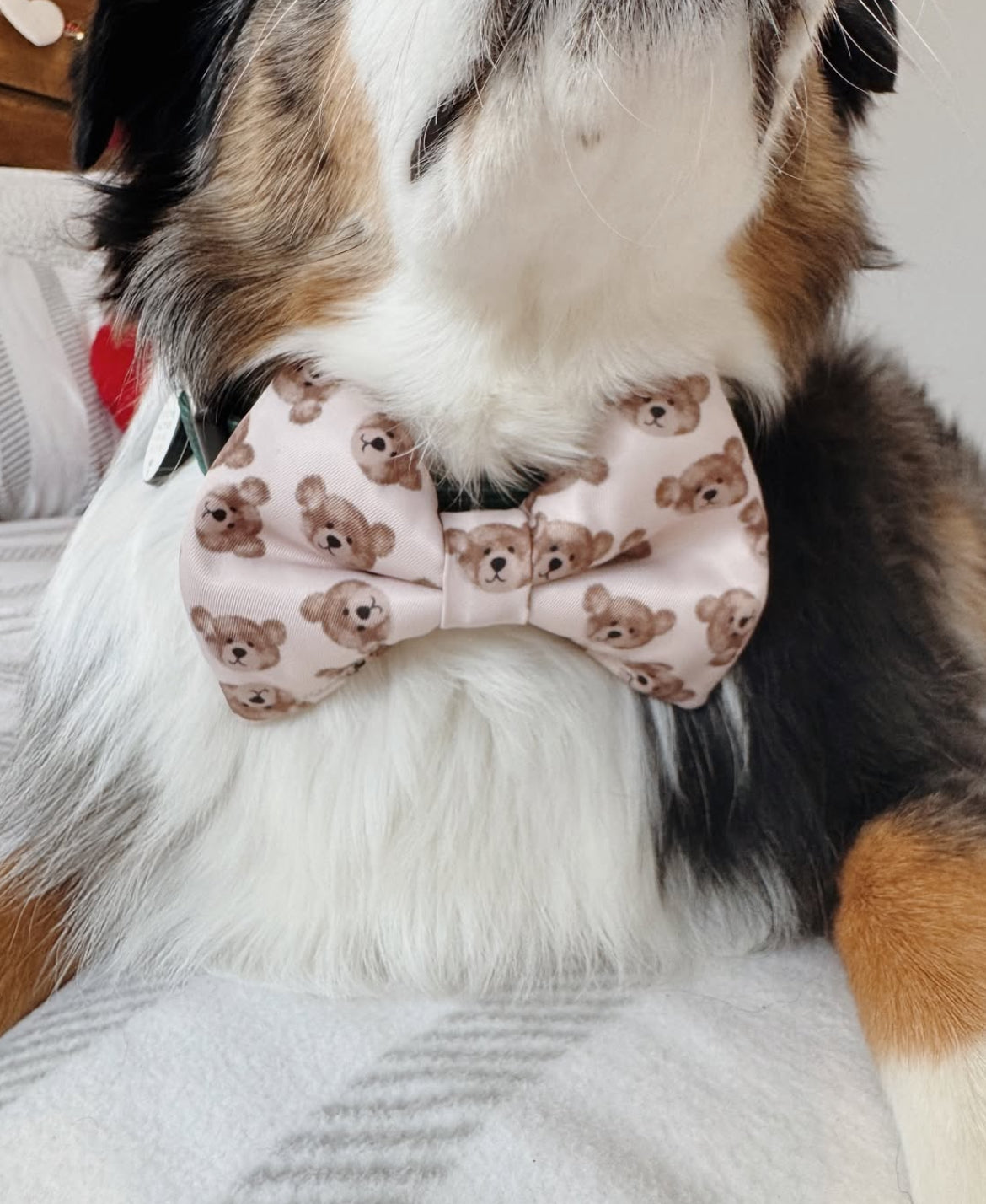 Beary Lovely Bow Tie