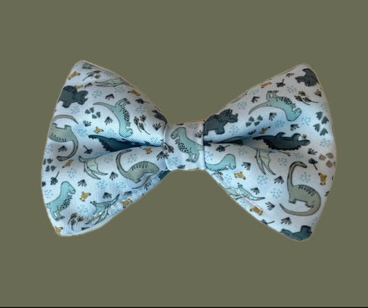 Jurassic Bloom Bow Tie