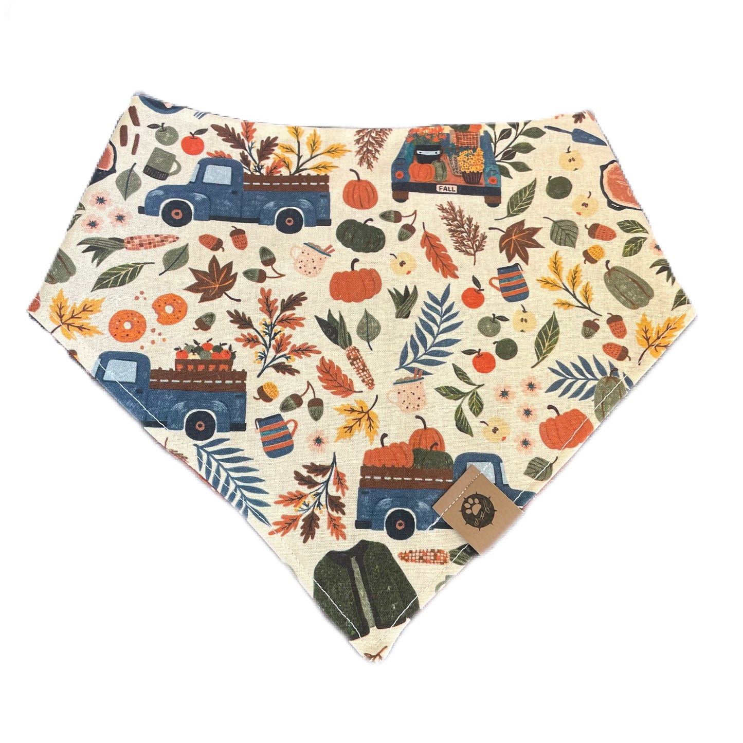 Fall Festival Bandana