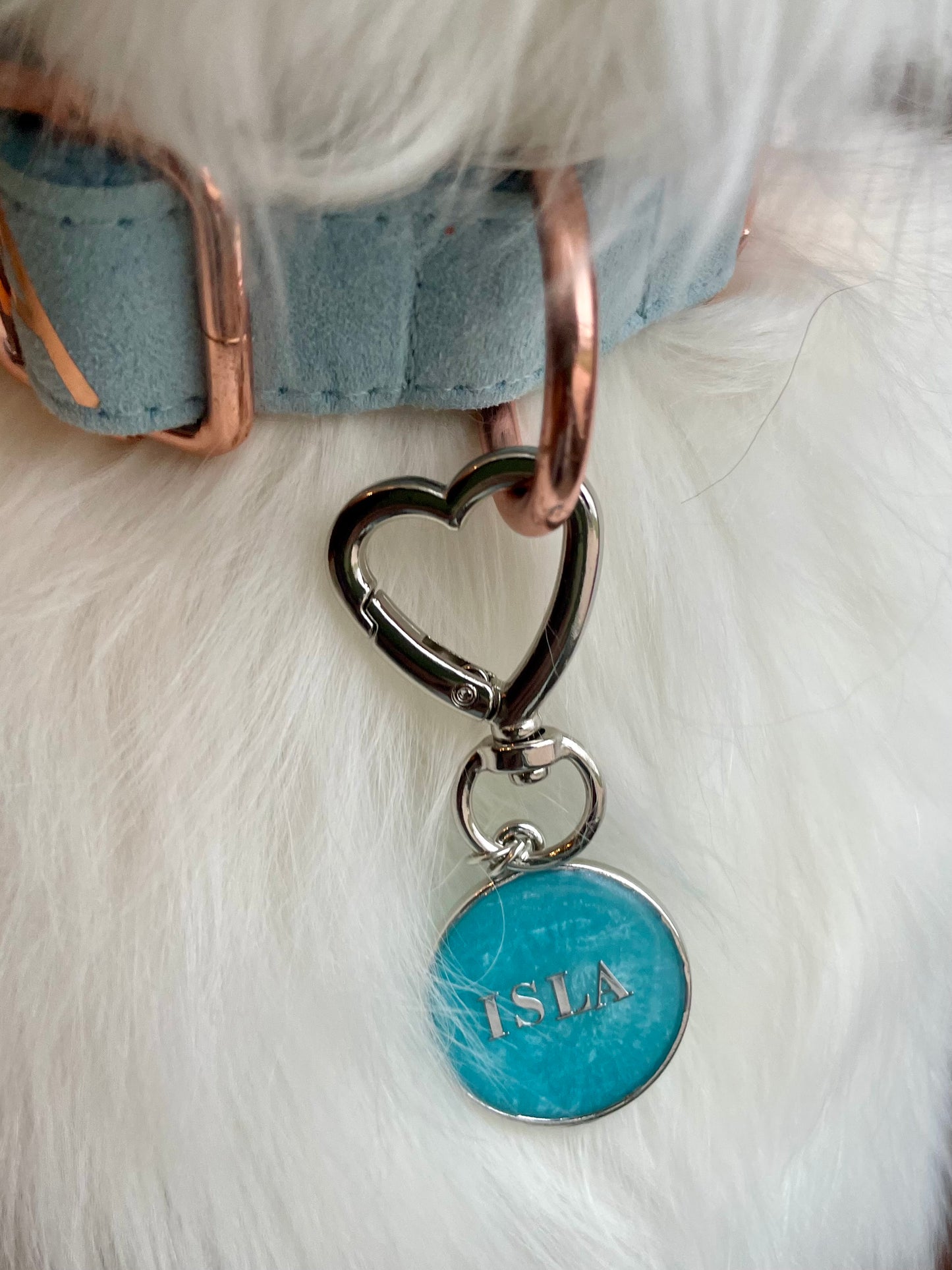 Blue Skies Resin Dog Name Tag